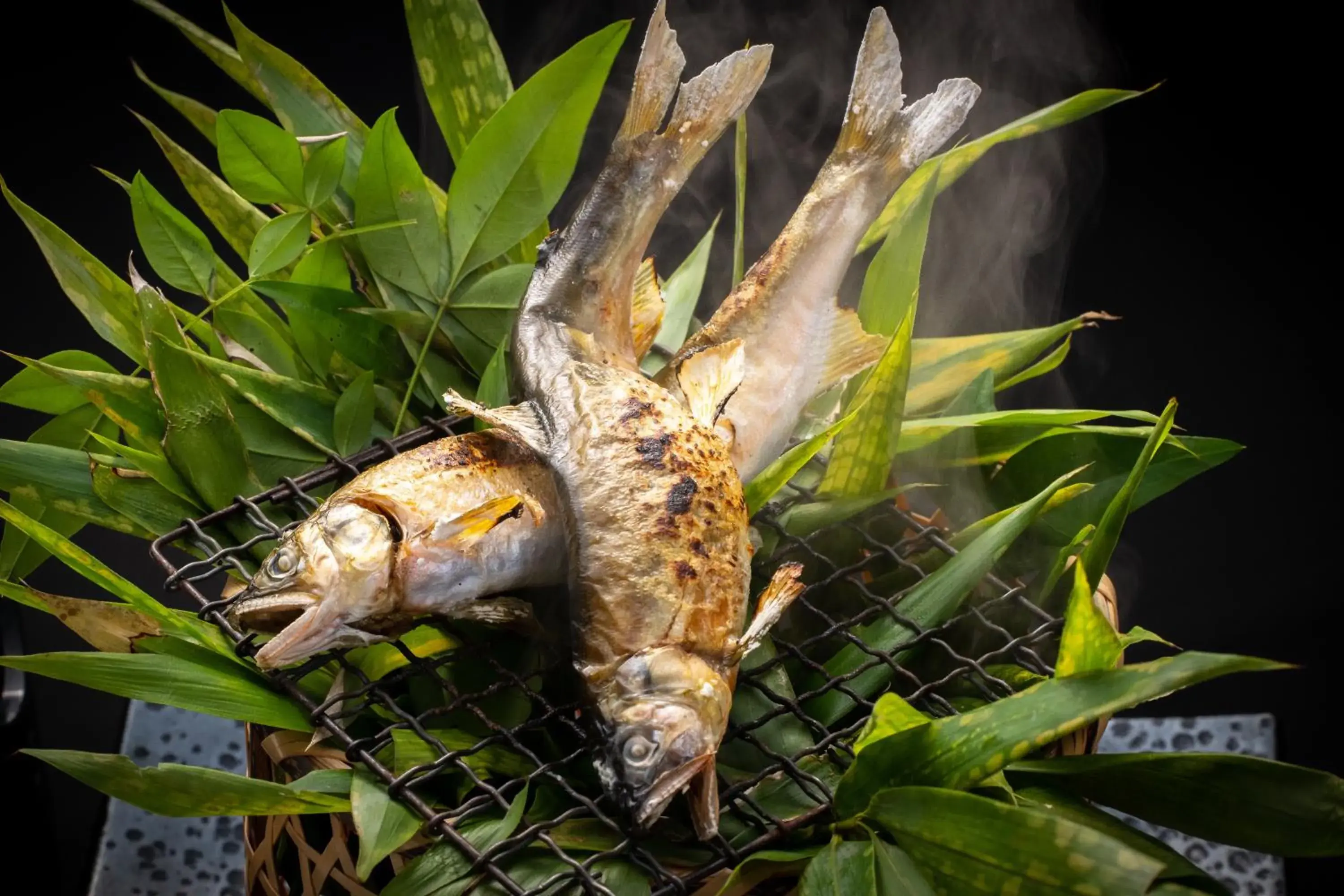 Food close-up, Other Animals in Hatcho no Yu Hot Spring Ryokan