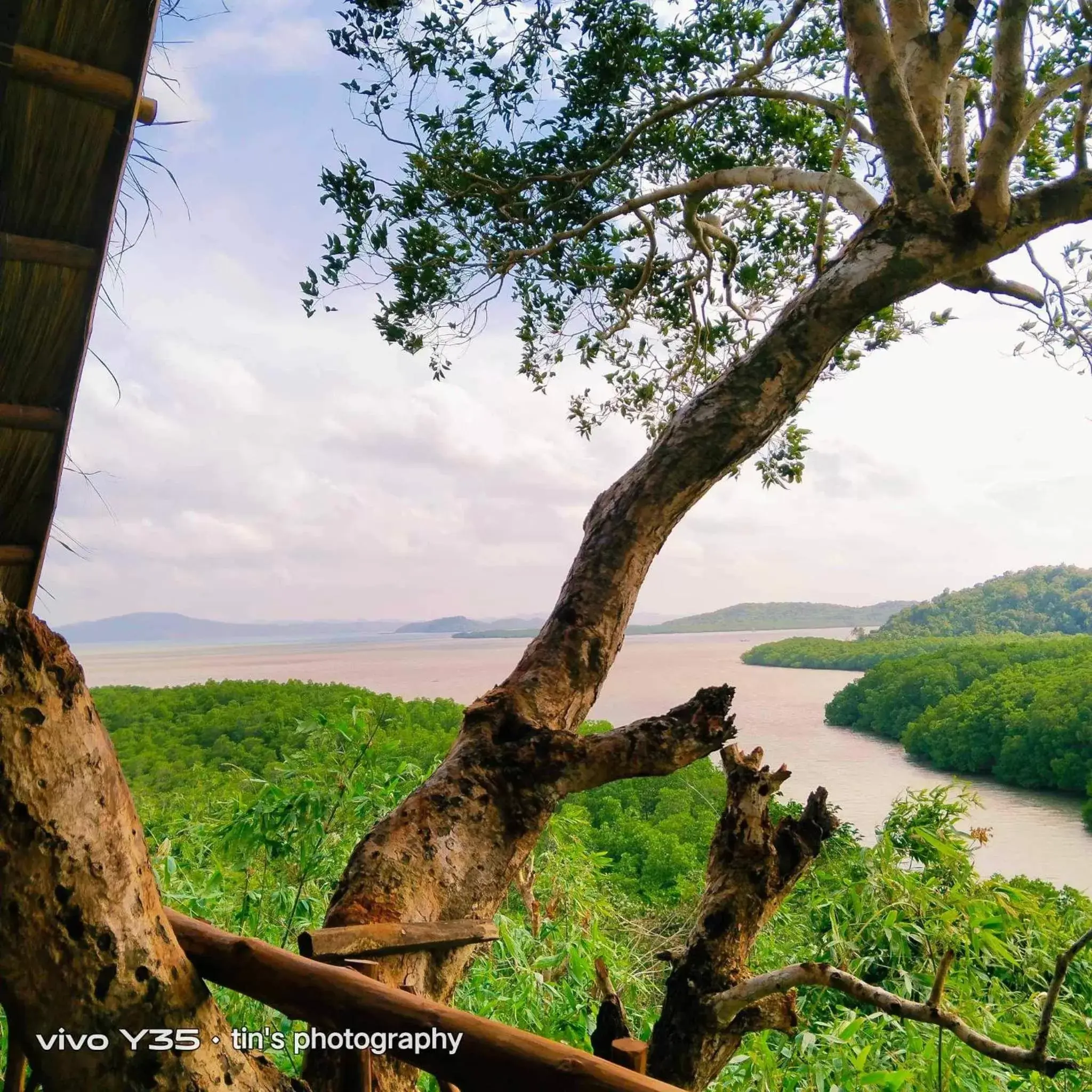 Natural Landscape in Sanctuaria Treehouses Busuanga