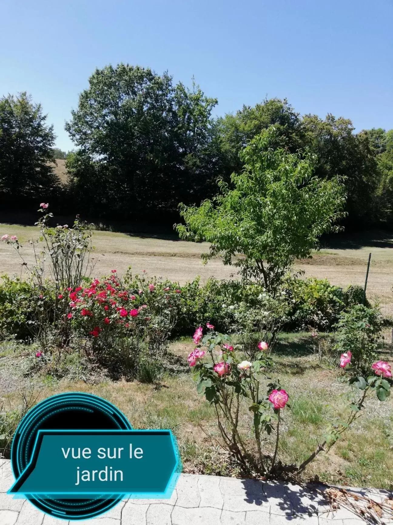 Garden in Du coq à l'âme