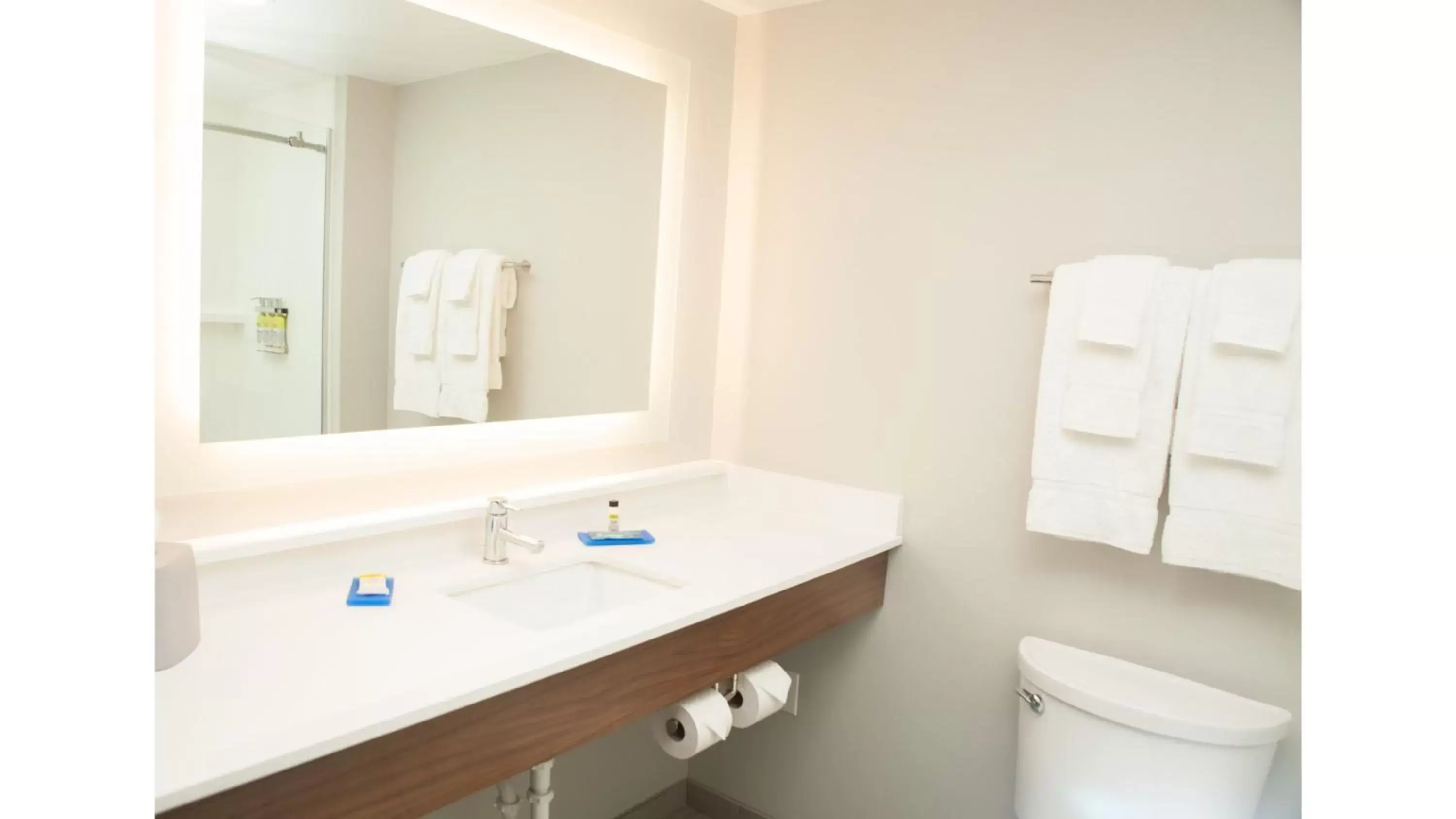 Bathroom in Holiday Inn Express Hotel & Suites Norfolk, an IHG Hotel