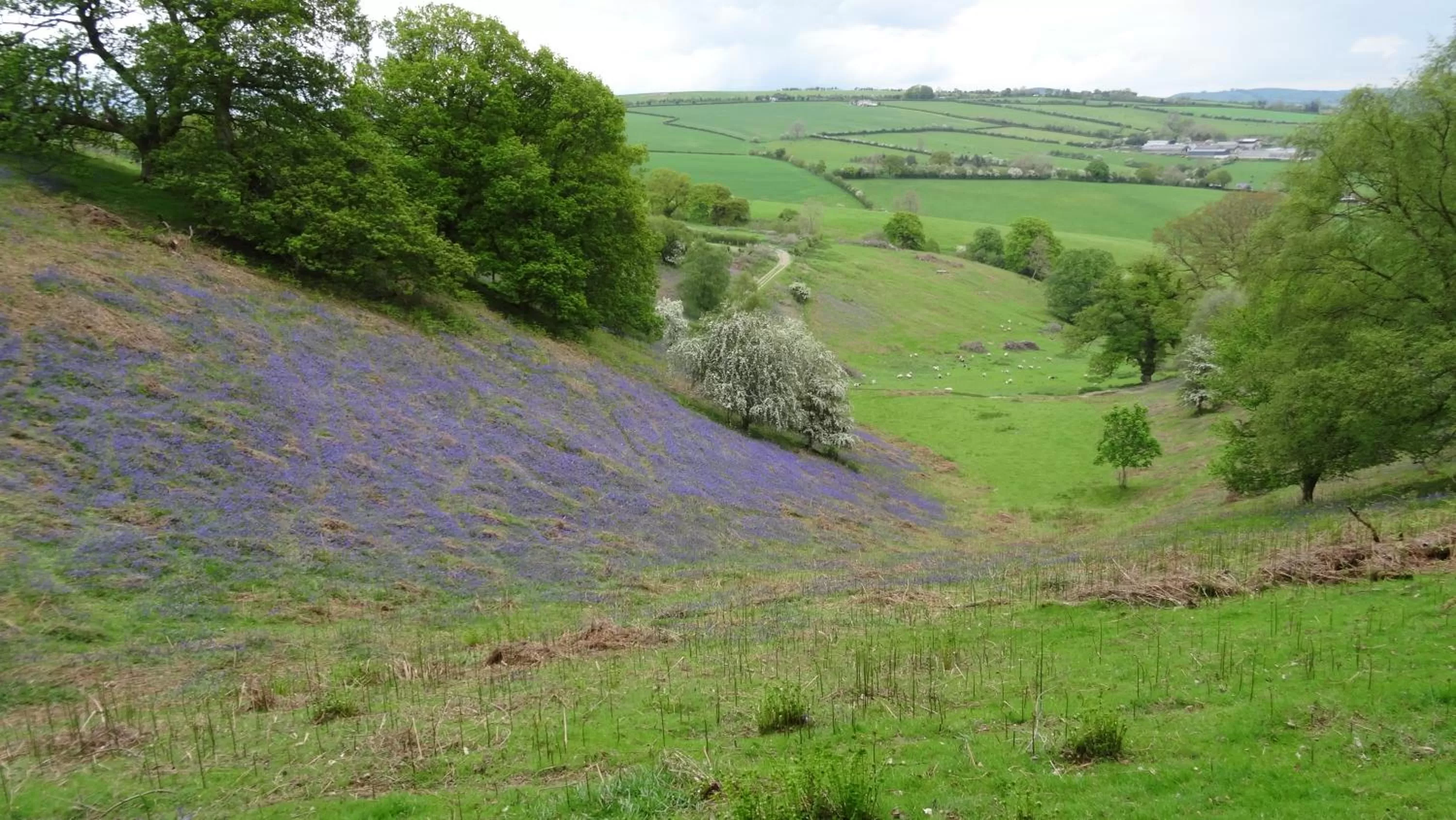 Neighbourhood in Middle Woodbatch B&B
