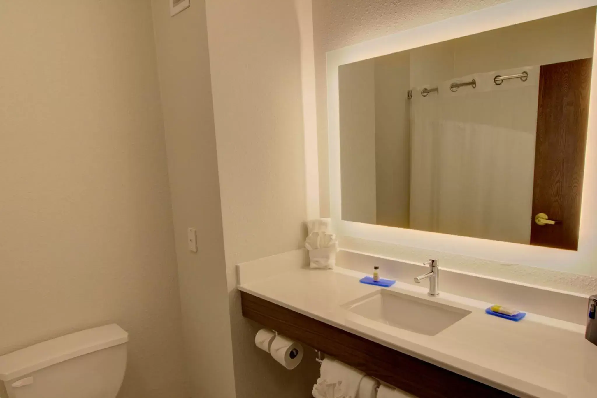 Photo of the whole room, Bathroom in Holiday Inn Express & Suites Le Mars, an IHG Hotel