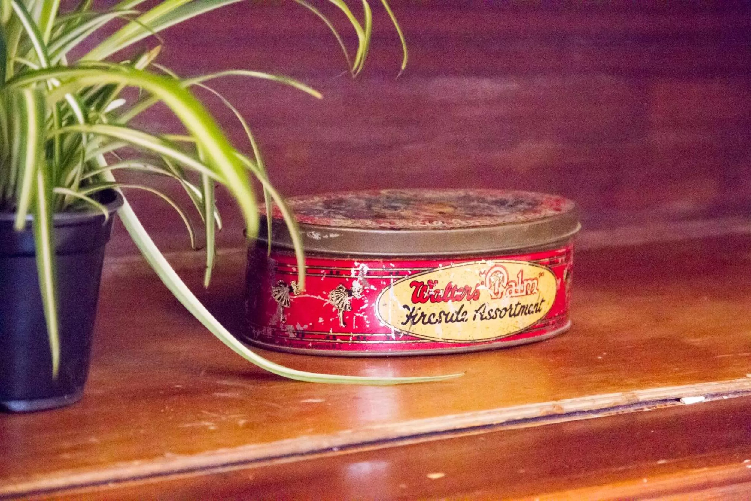 Decorative detail in Aminta Home