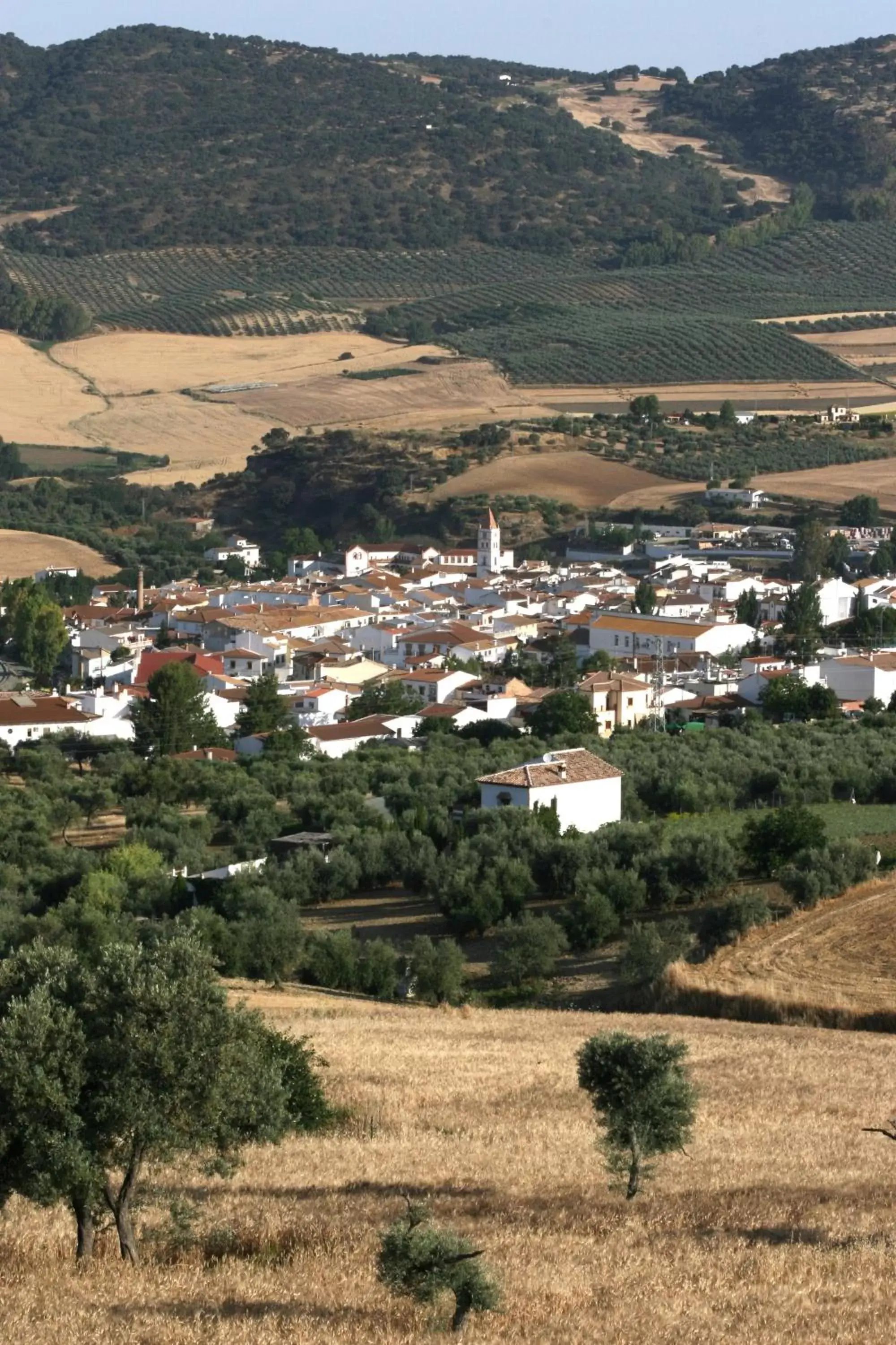 View (from property/room), Bird's-eye View in Arriadh Hotel