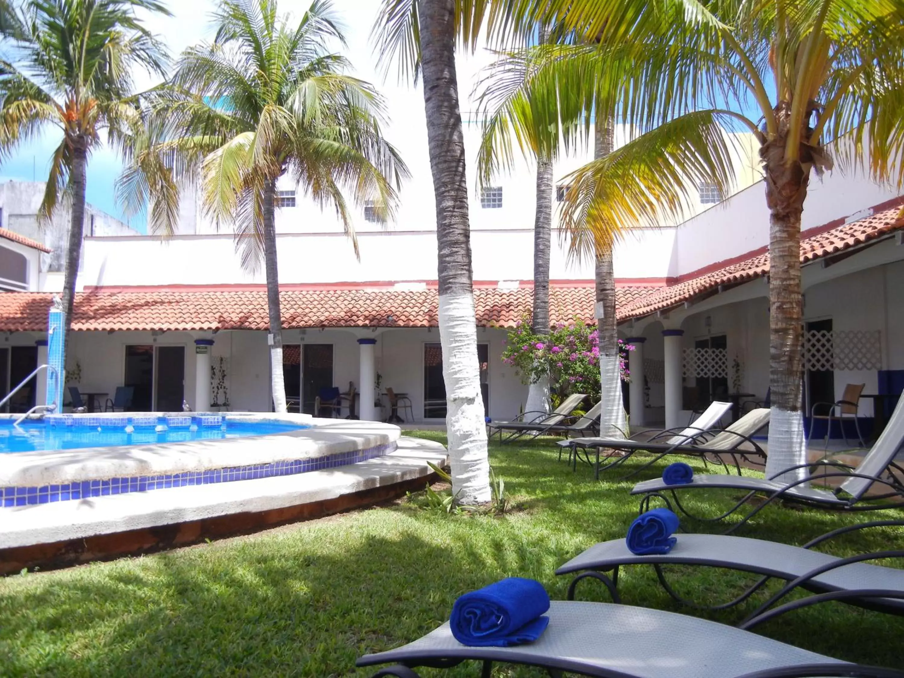 Pool view, Swimming Pool in Hotel Plaza Almendros