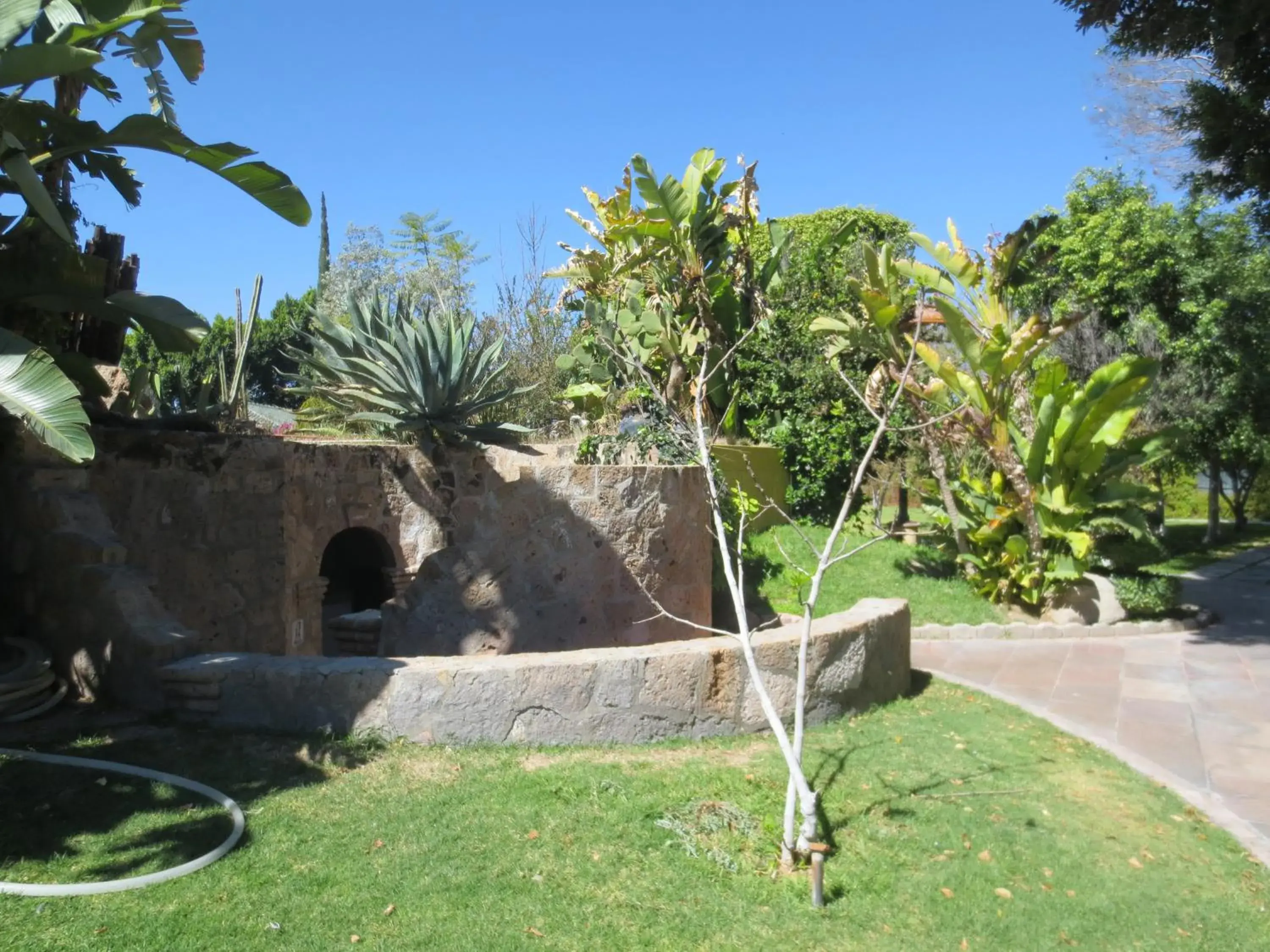 Day, Garden in Gran Hotel Hacienda De La Noria