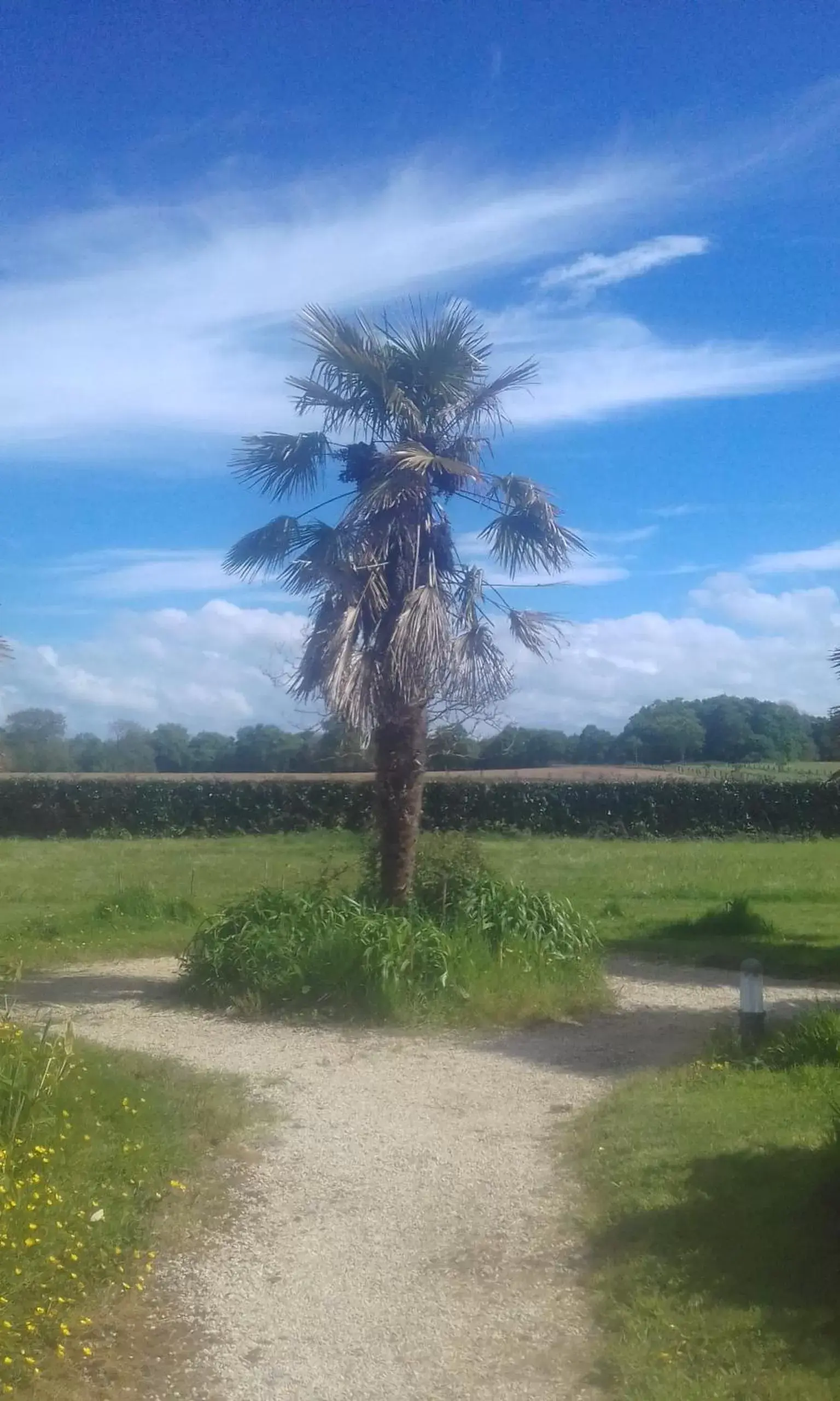 Property building in Domaine de launay blot, Proche MT ST MICHEL