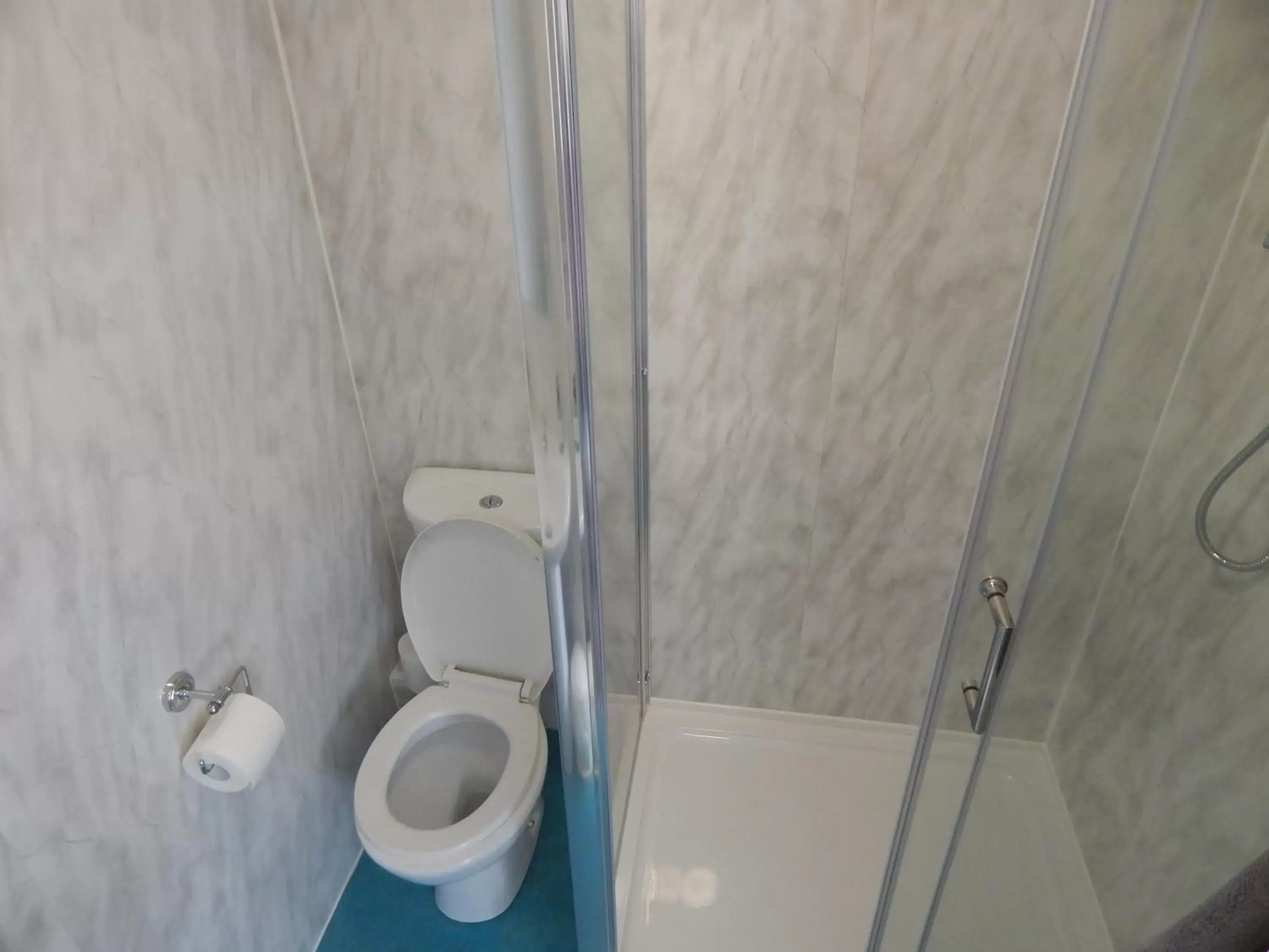 Shower, Bathroom in Llanryan Guest House