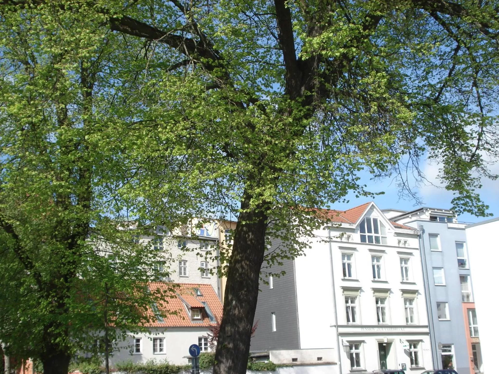 Property building in Hotel Pension Zur Fährbrücke