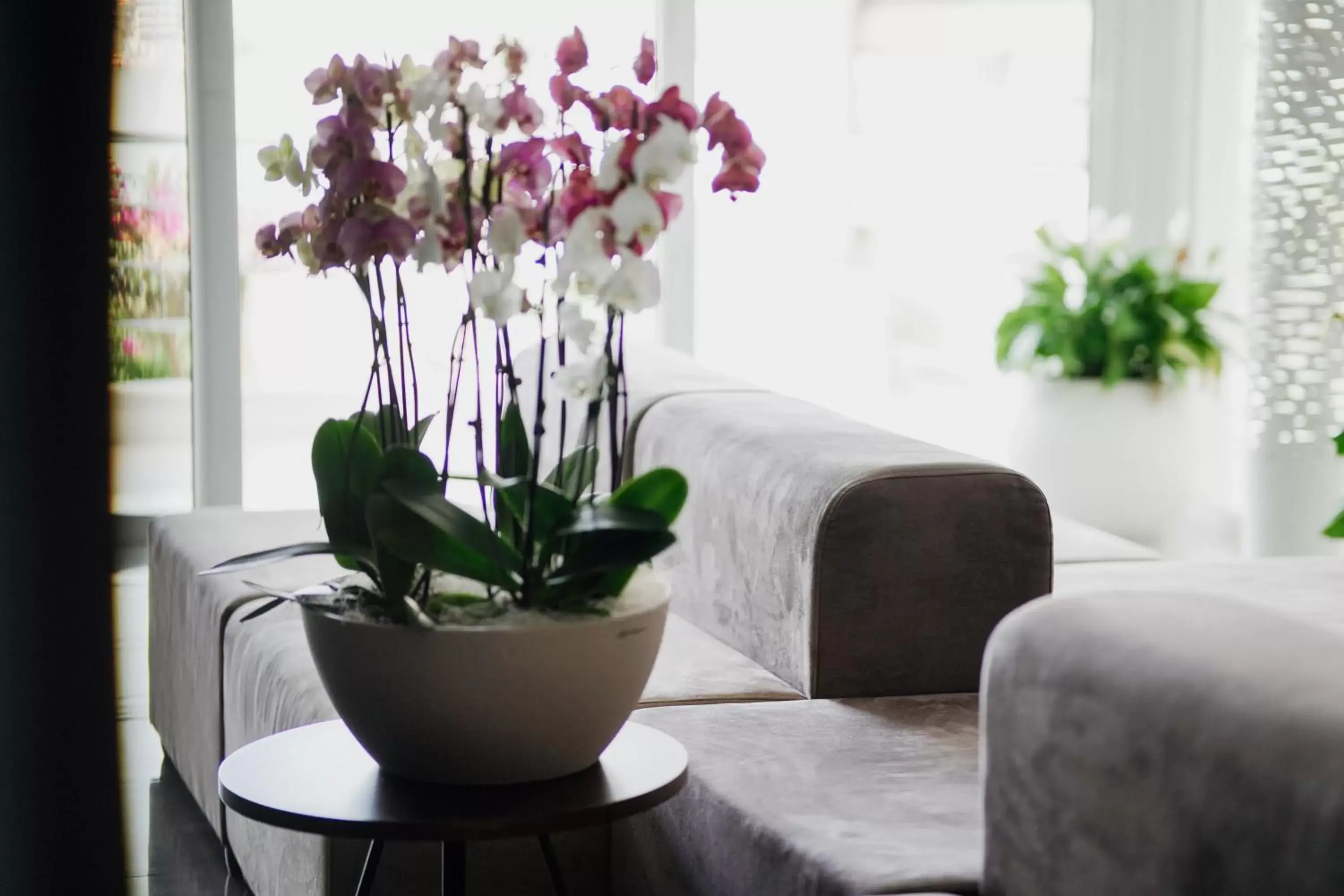 Lobby or reception in Hotel Agimi Lobby or reception in Hotel Agimi