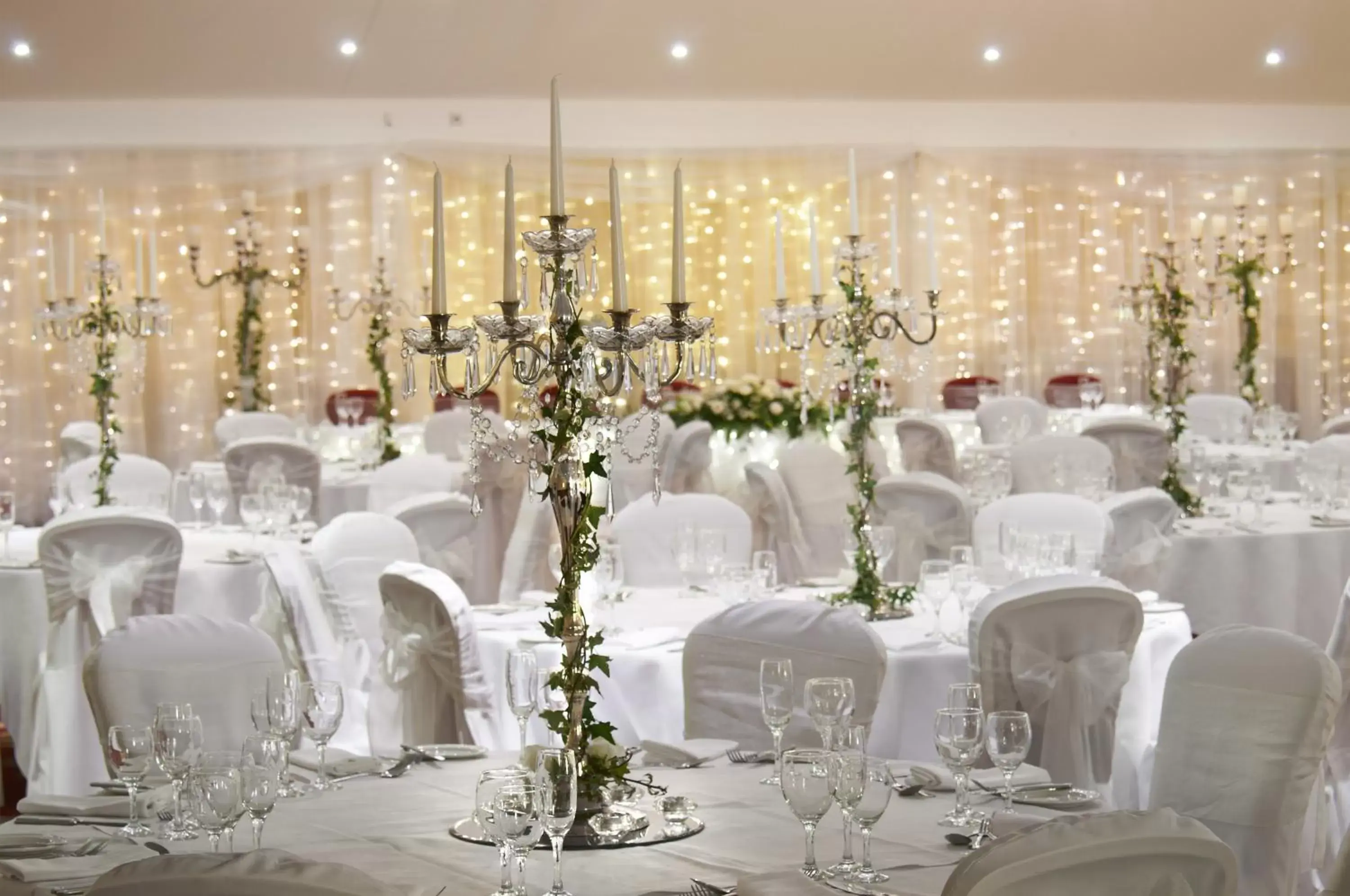 Banquet/Function facilities, Banquet Facilities in Avisford Park Hotel