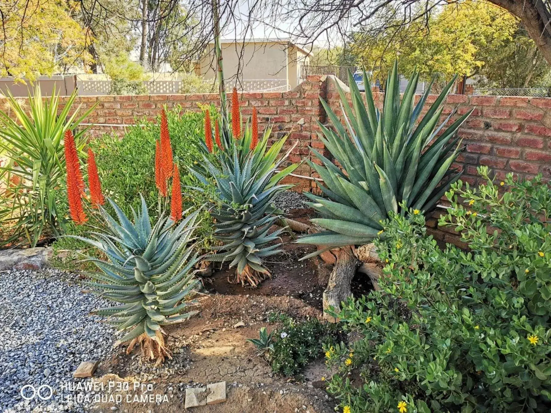 Garden view in Akkerdam Bed and Breakfast Garden view in Akkerdam Bed and Breakfast