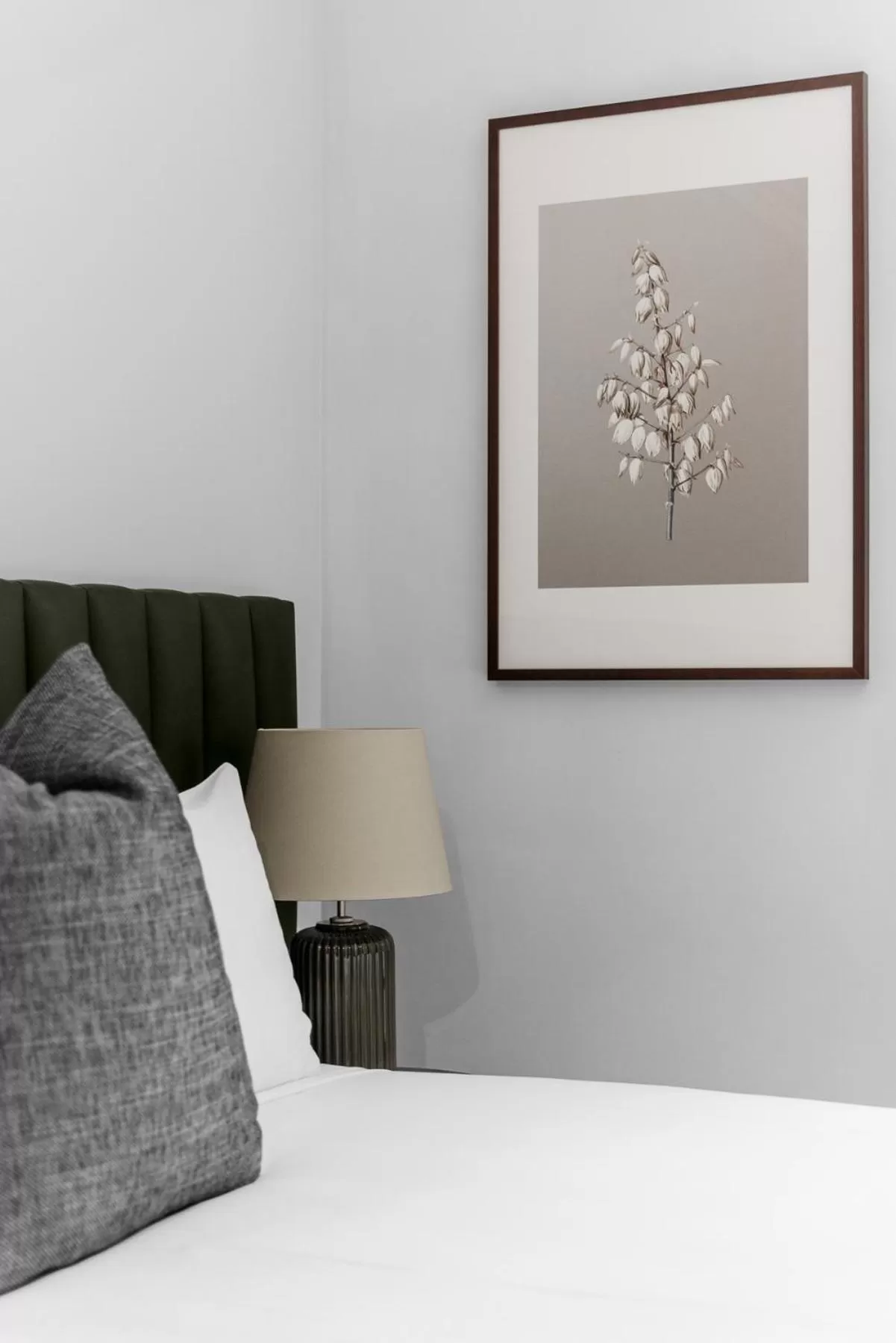 Bed in Hotel Challis Potts Point