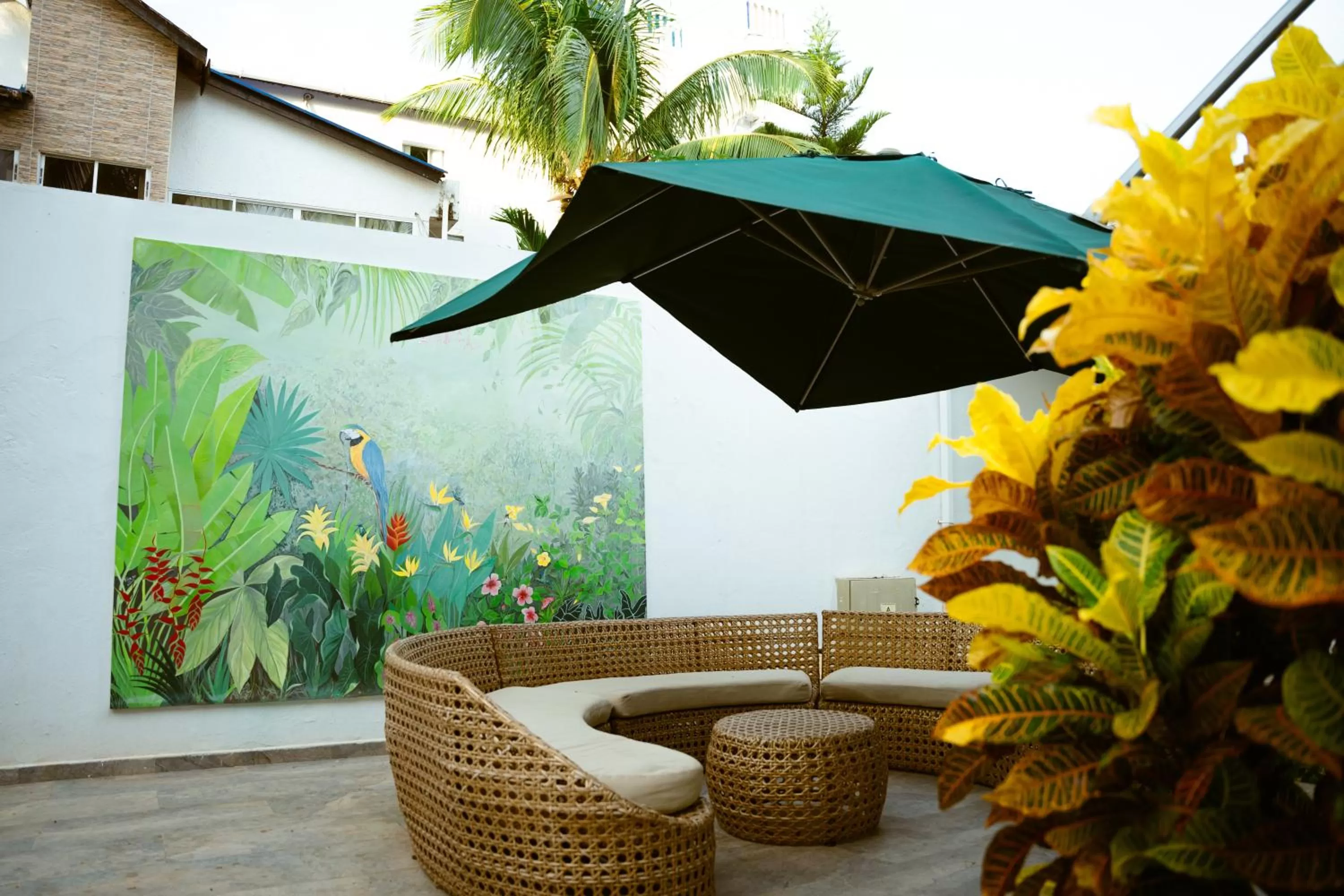 Garden in Hotel Koray