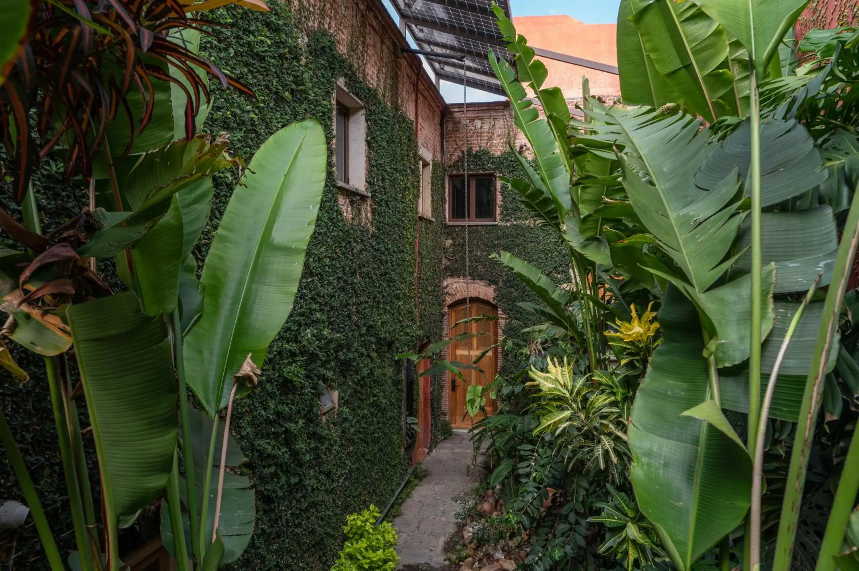 Garden in Casa De Sierra Azul