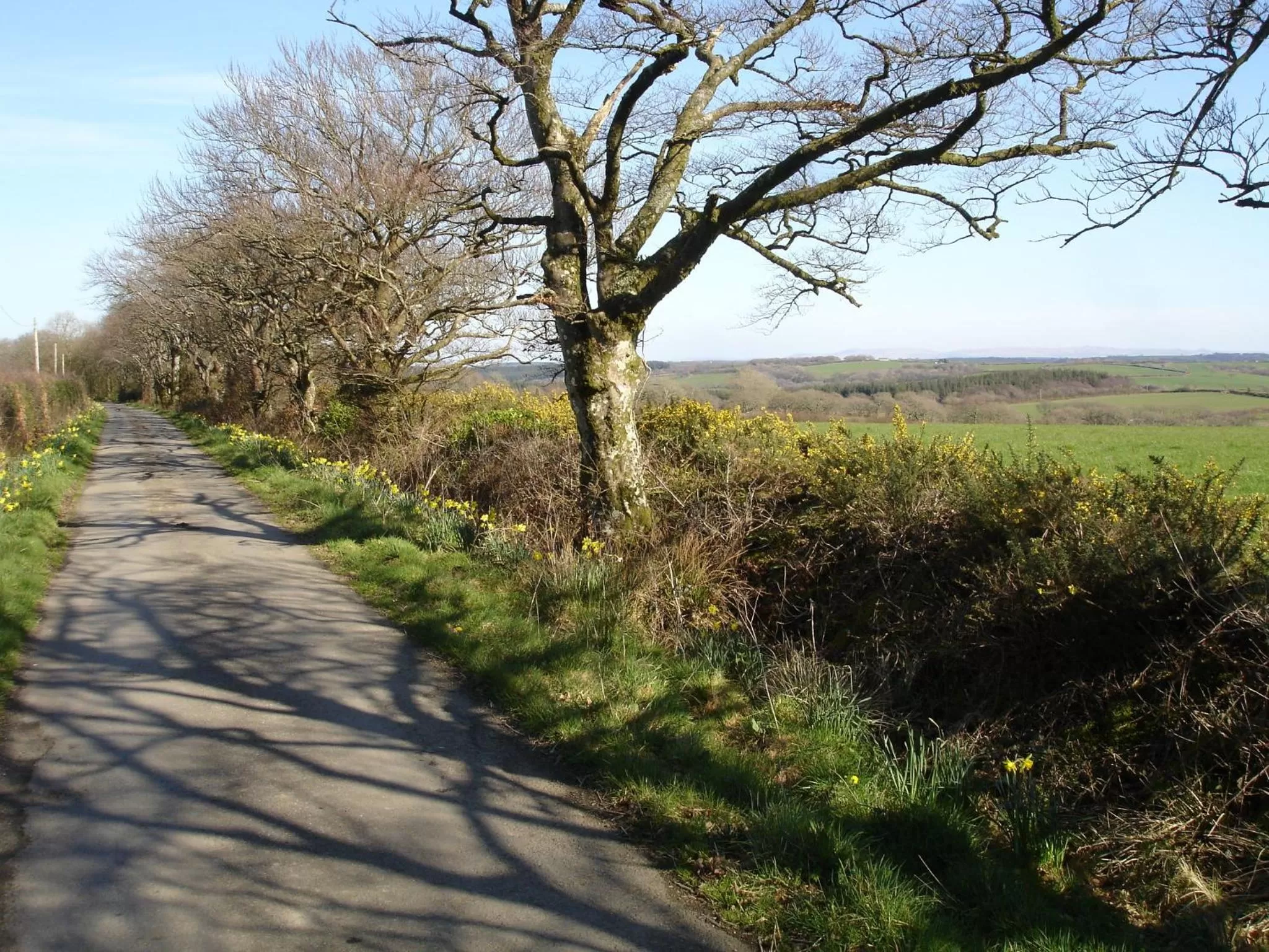 Natural landscape in Leworthy Farmhouse Bed and Breakfast