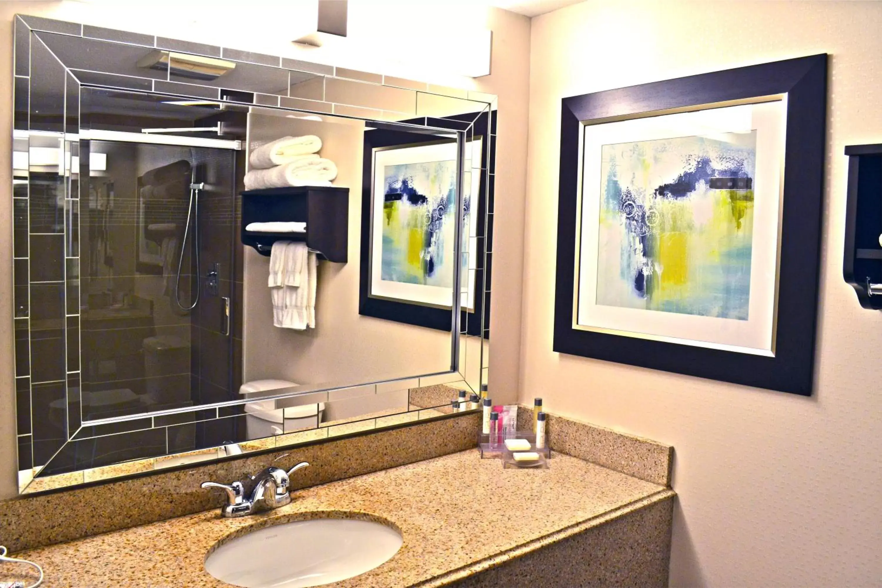 Bathroom in Holiday Inn & Suites Syracuse Airport - Liverpool, an IHG Hotel