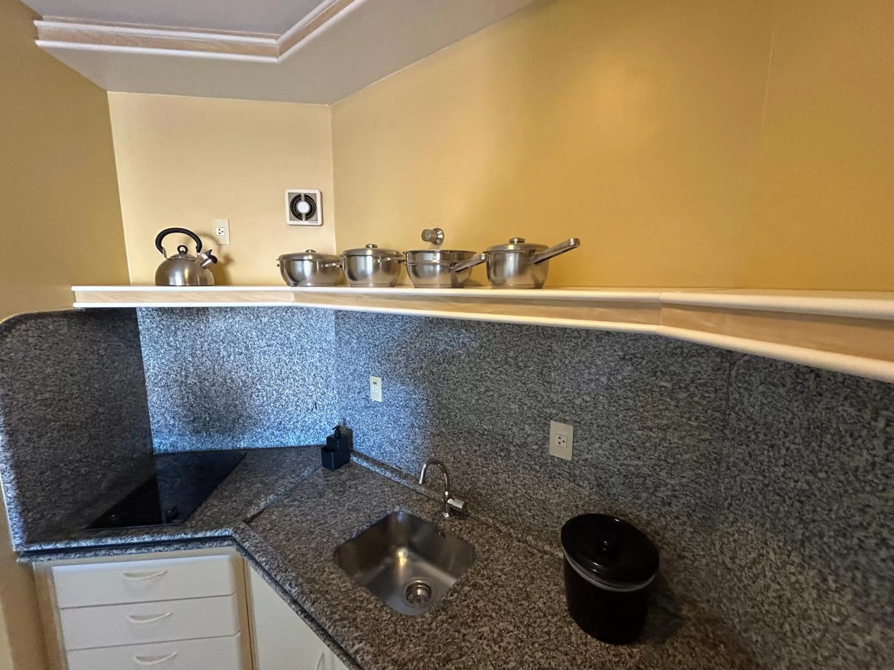 Kitchen or kitchenette in Golfinhos Apart Hotel