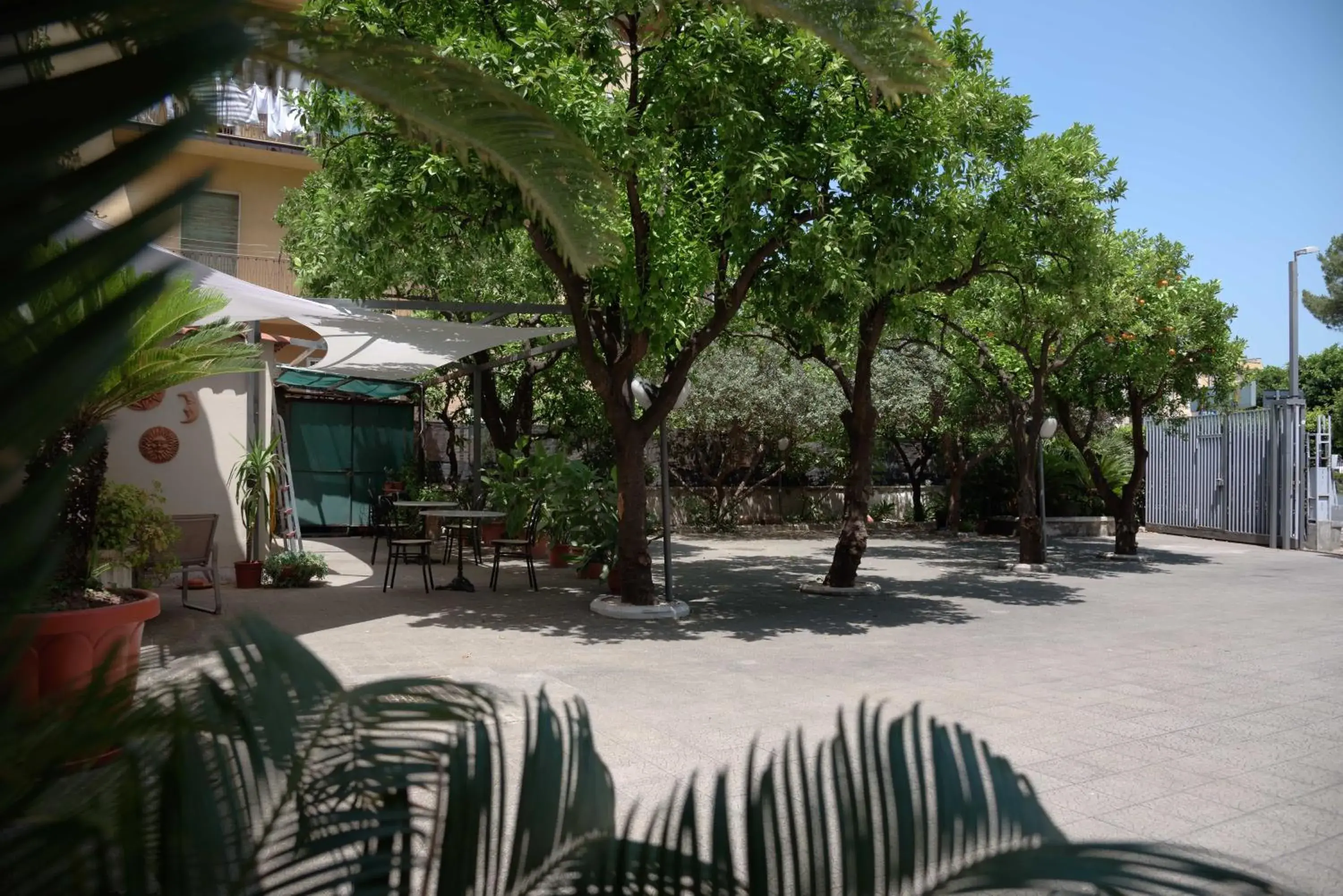 Patio in Hotel Calypso