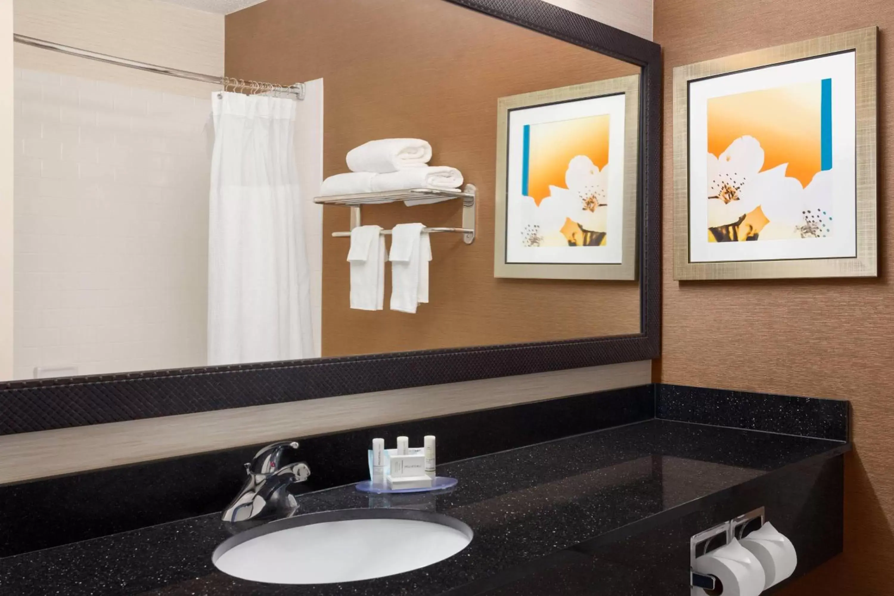 Bathroom in Fairfield Inn & Suites by Marriott Norman