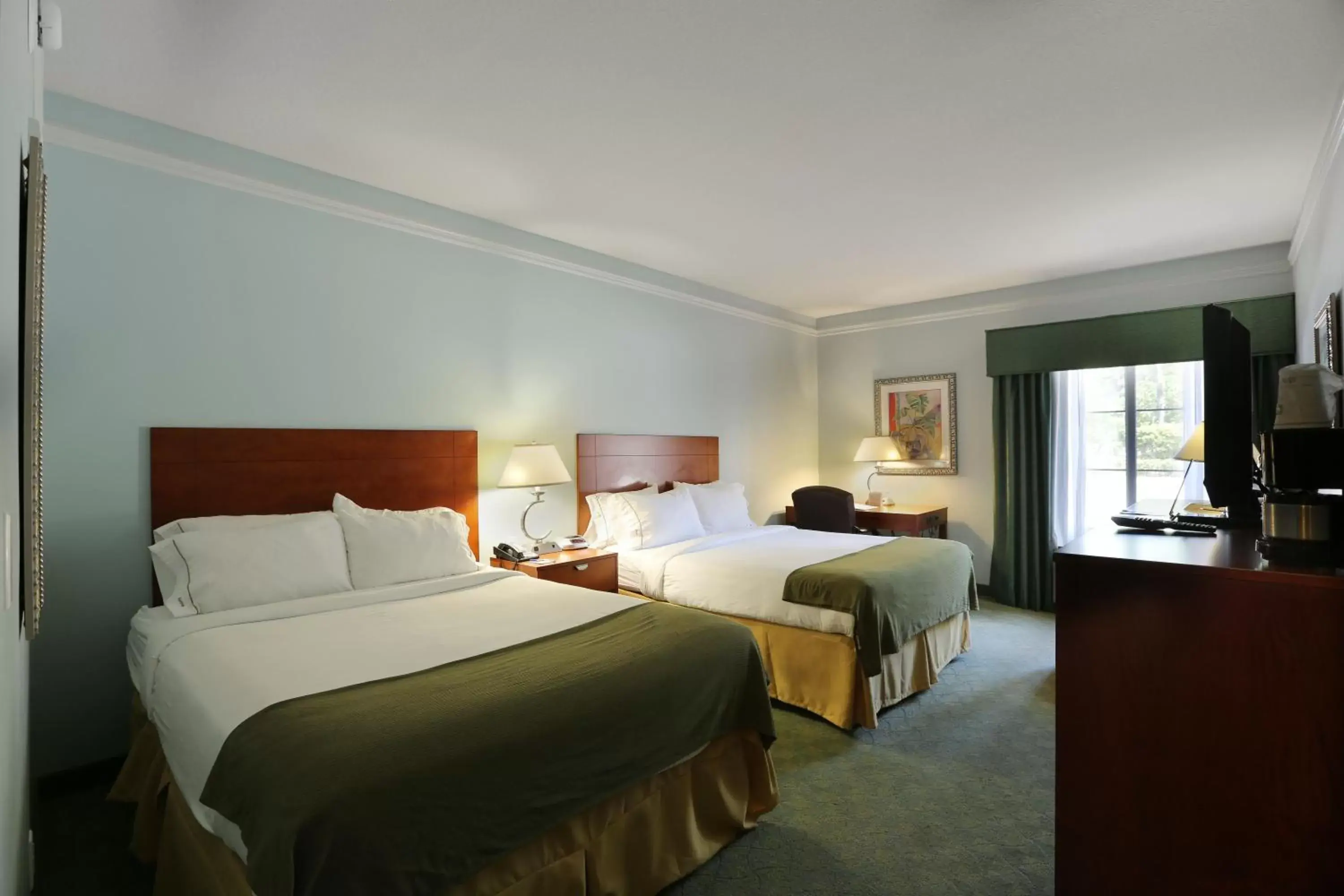 Photo of the whole room, Bed in Holiday Inn Express Tampa North Telecom Park, an IHG Hotel