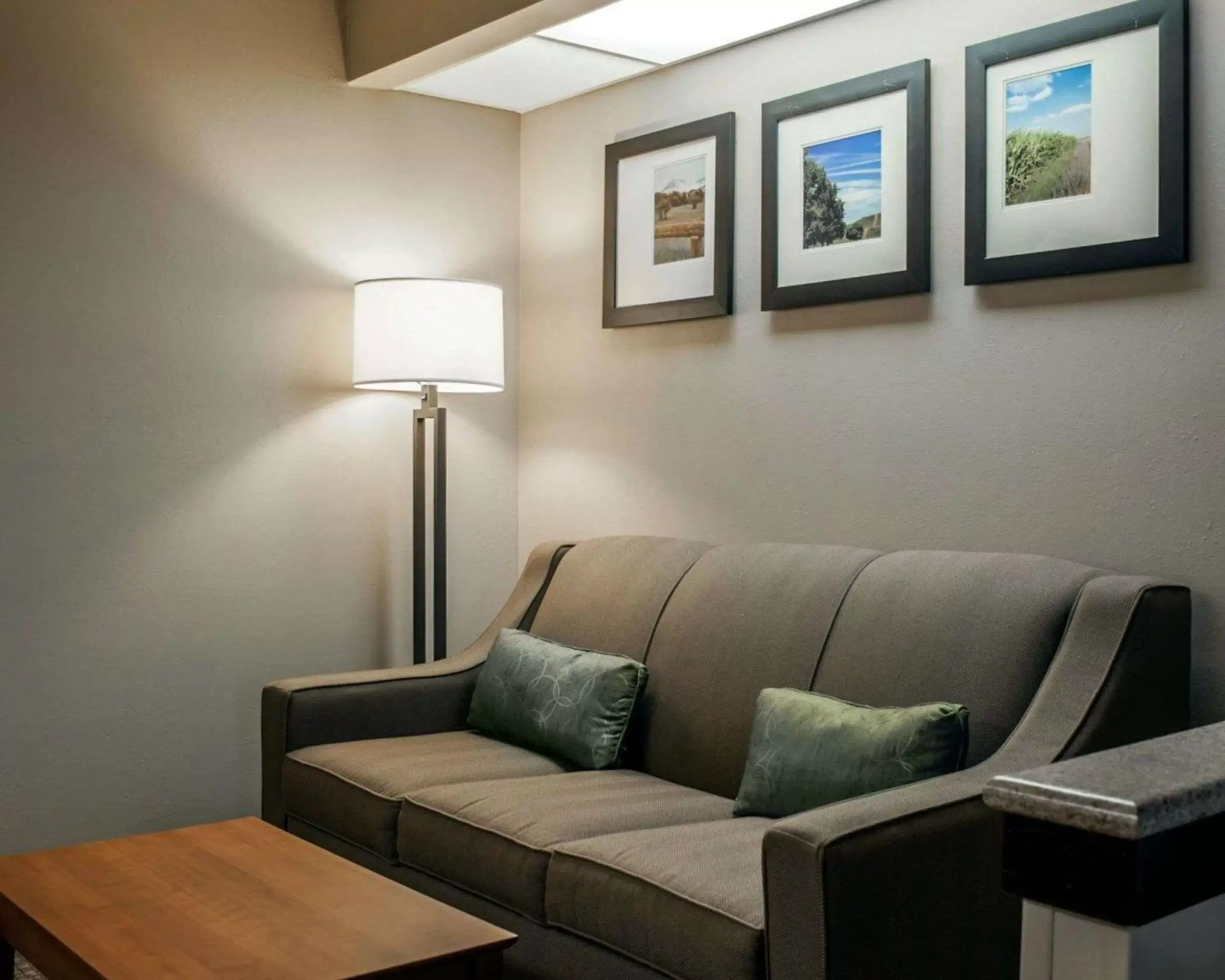 Photo of the whole room, Seating Area in Quality Inn & Suites near St Louis and I-255