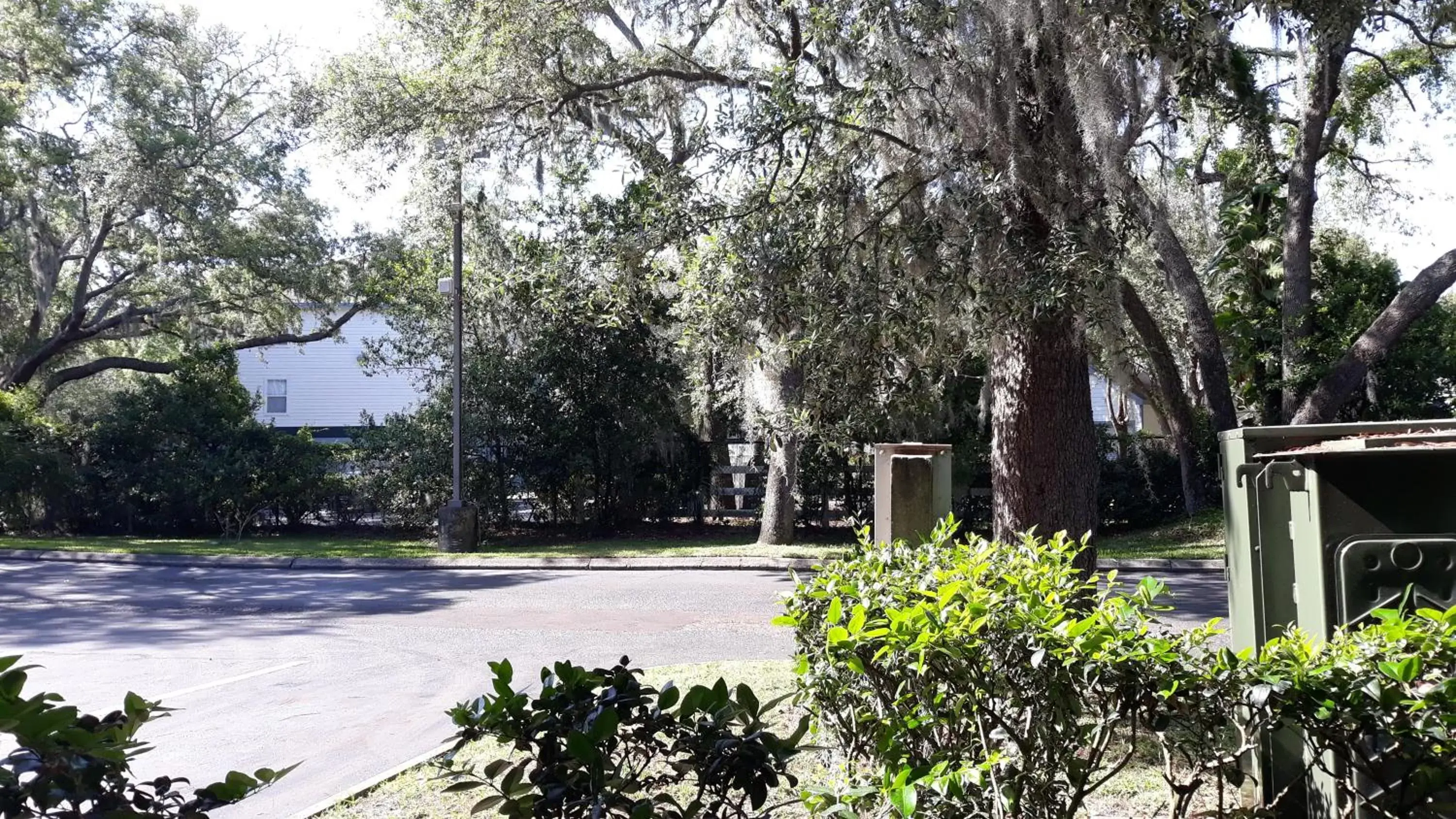 Natural landscape in Ramada by Wyndham Temple Terrace/Tampa North