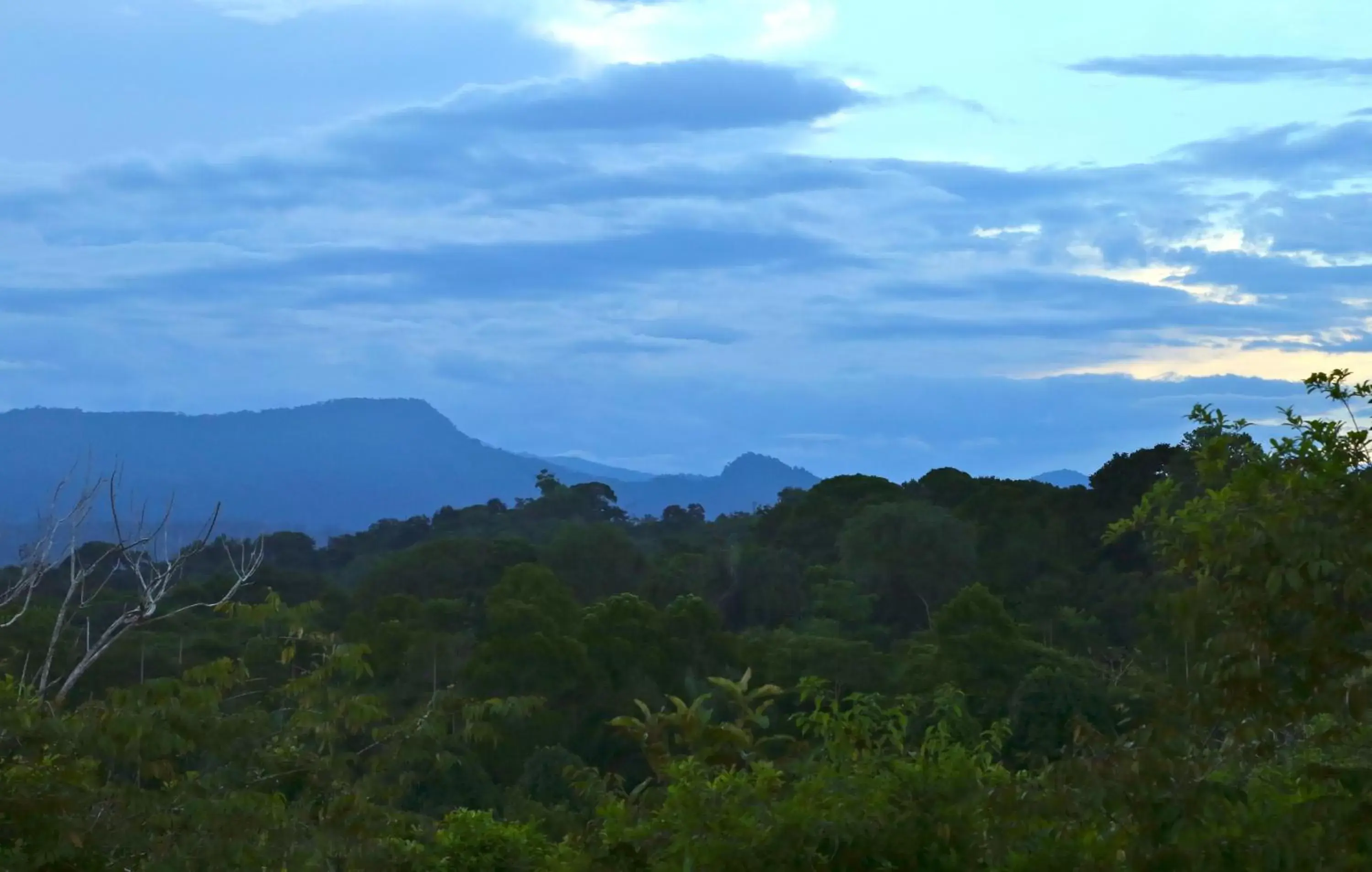 Day, Mountain View in Blue Banyan Inn