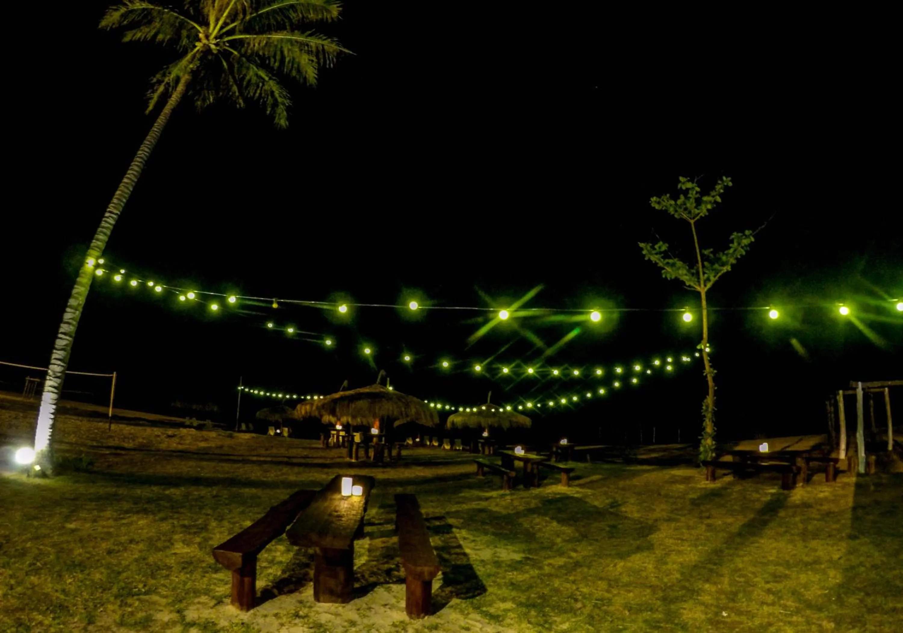 Lounge or bar in Palm Beach Resort & SPA