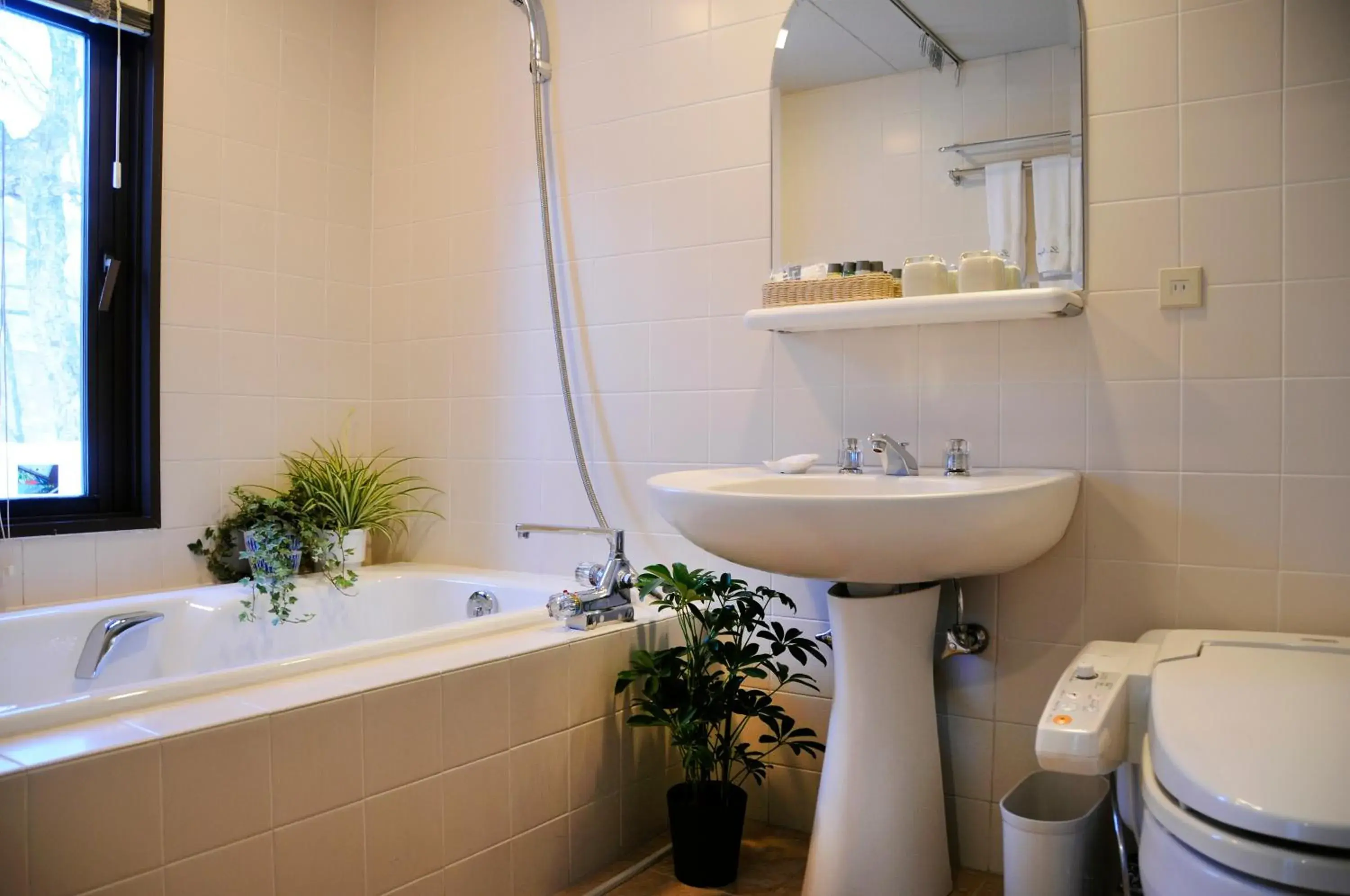 Bathroom in Hakuba Resort Hotel La Neige Higashikan