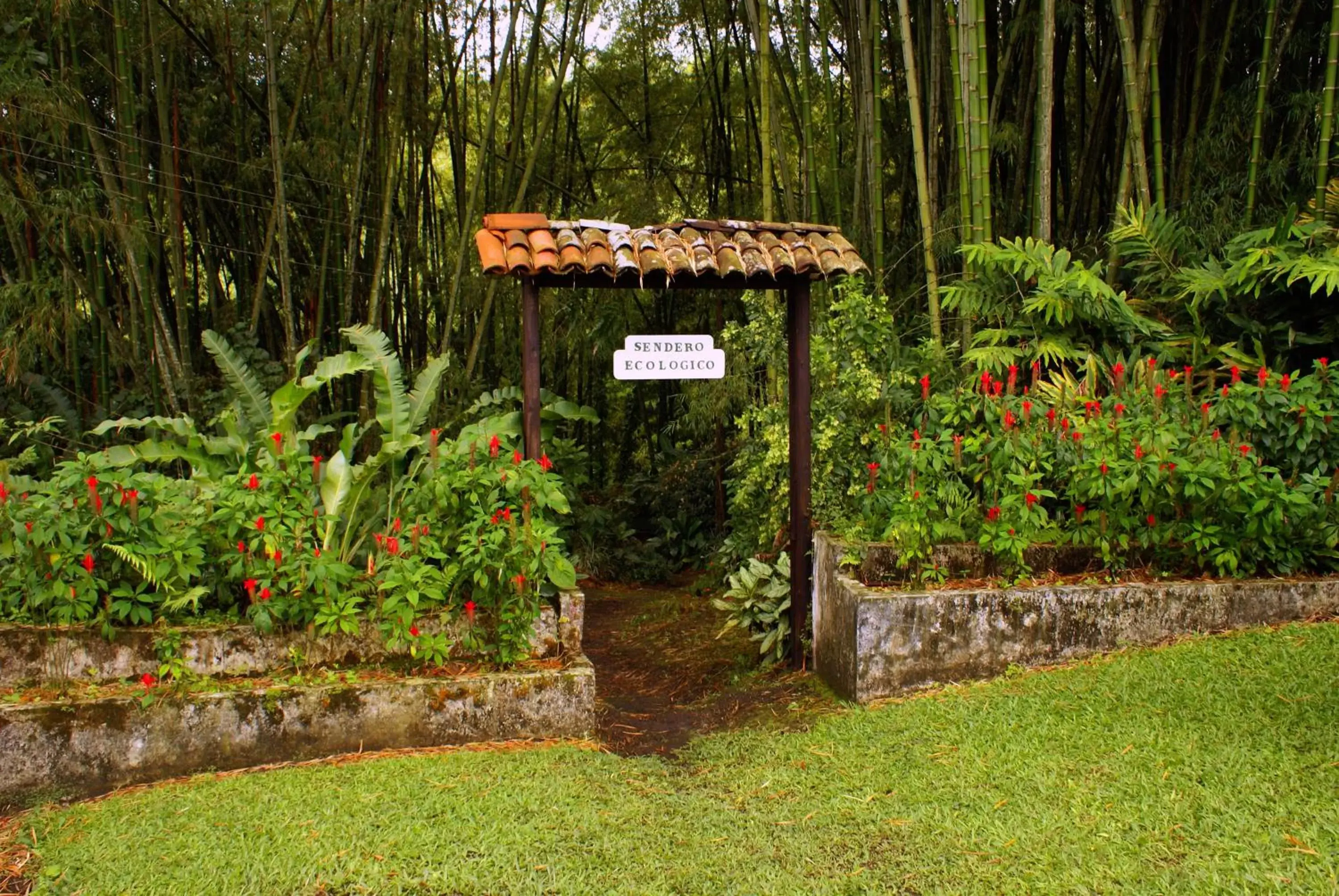 Natural landscape, Garden in Hotel campestre La Floresta