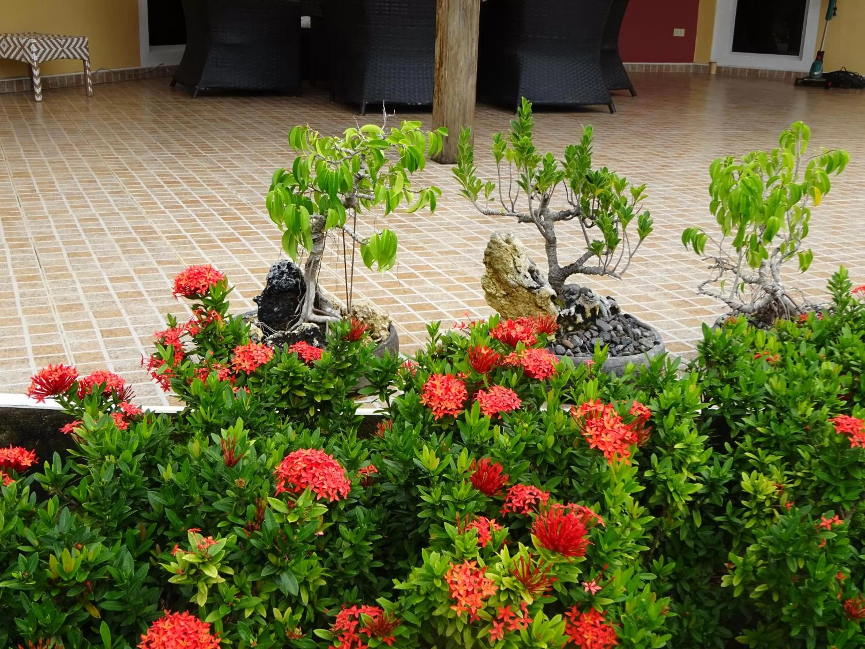 Garden in Bohol Sunside Resort