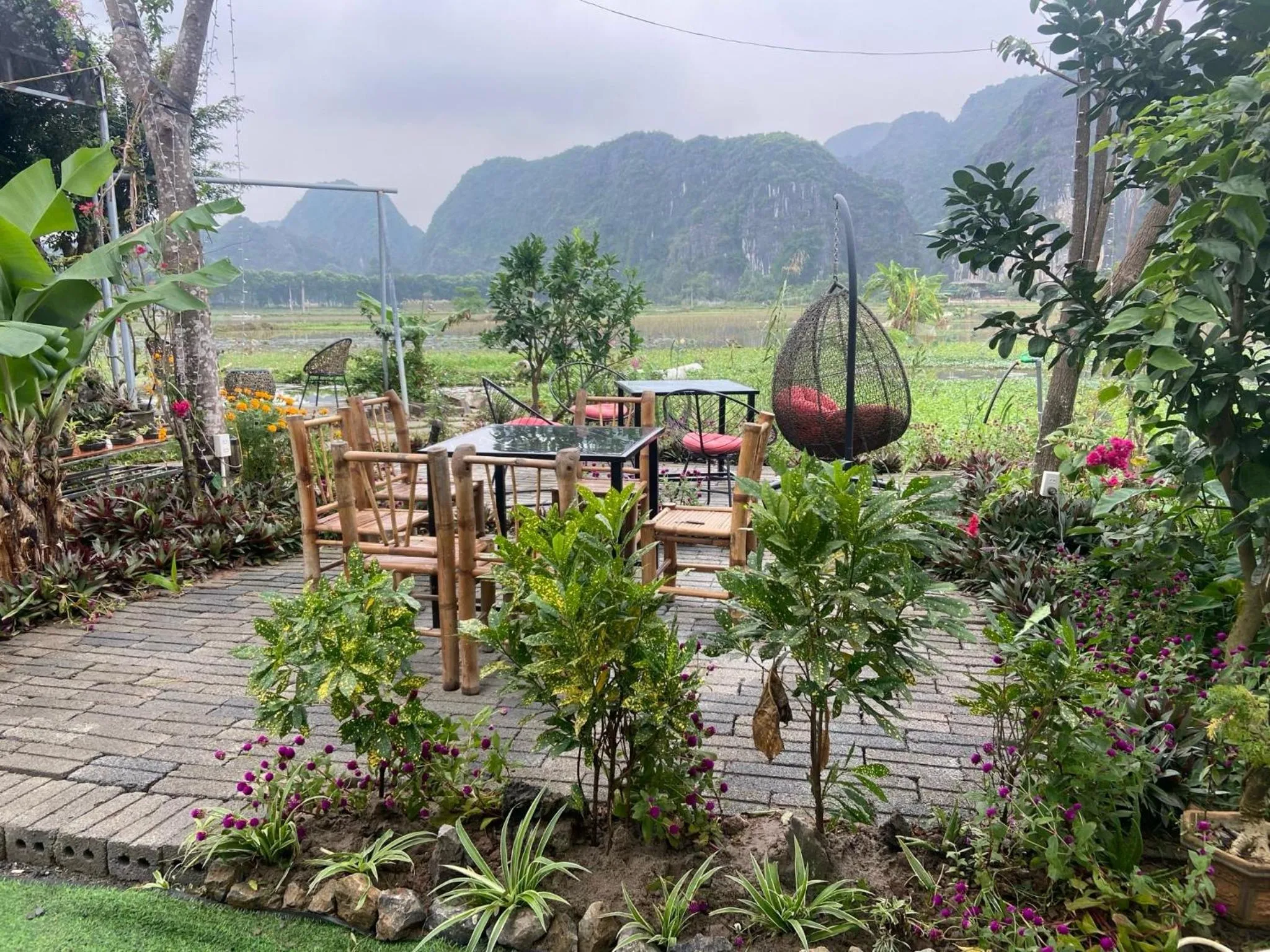 Tam Coc Mountain View Homestay