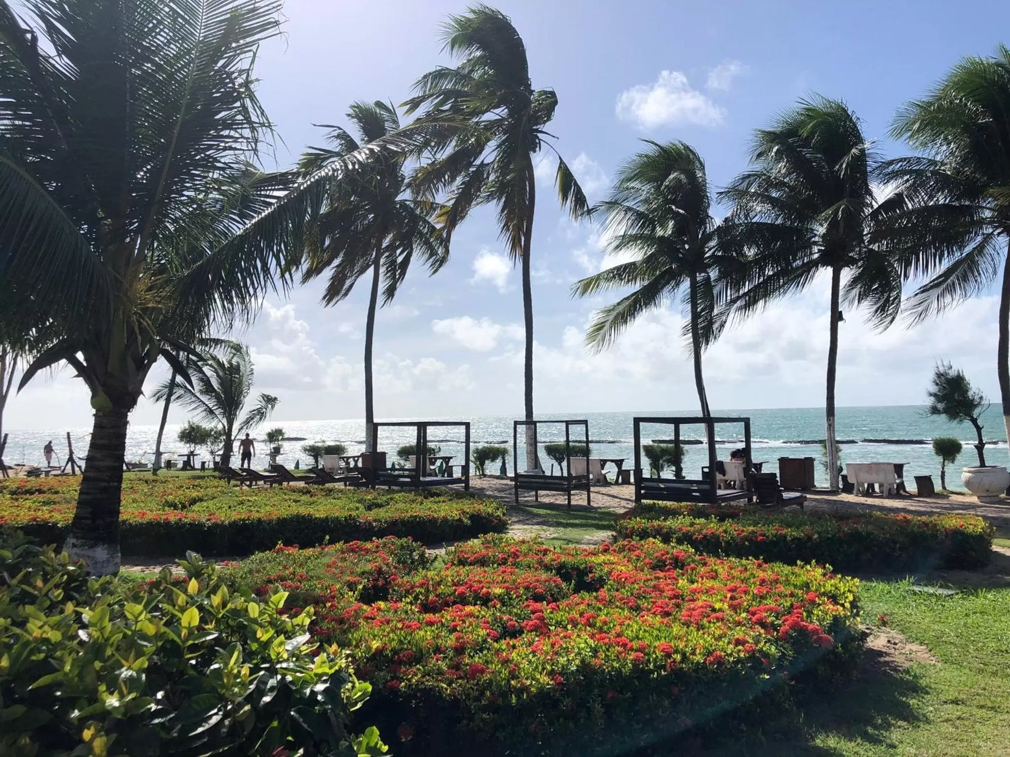 Garden in Praia dos Carneiros apart beira-mar