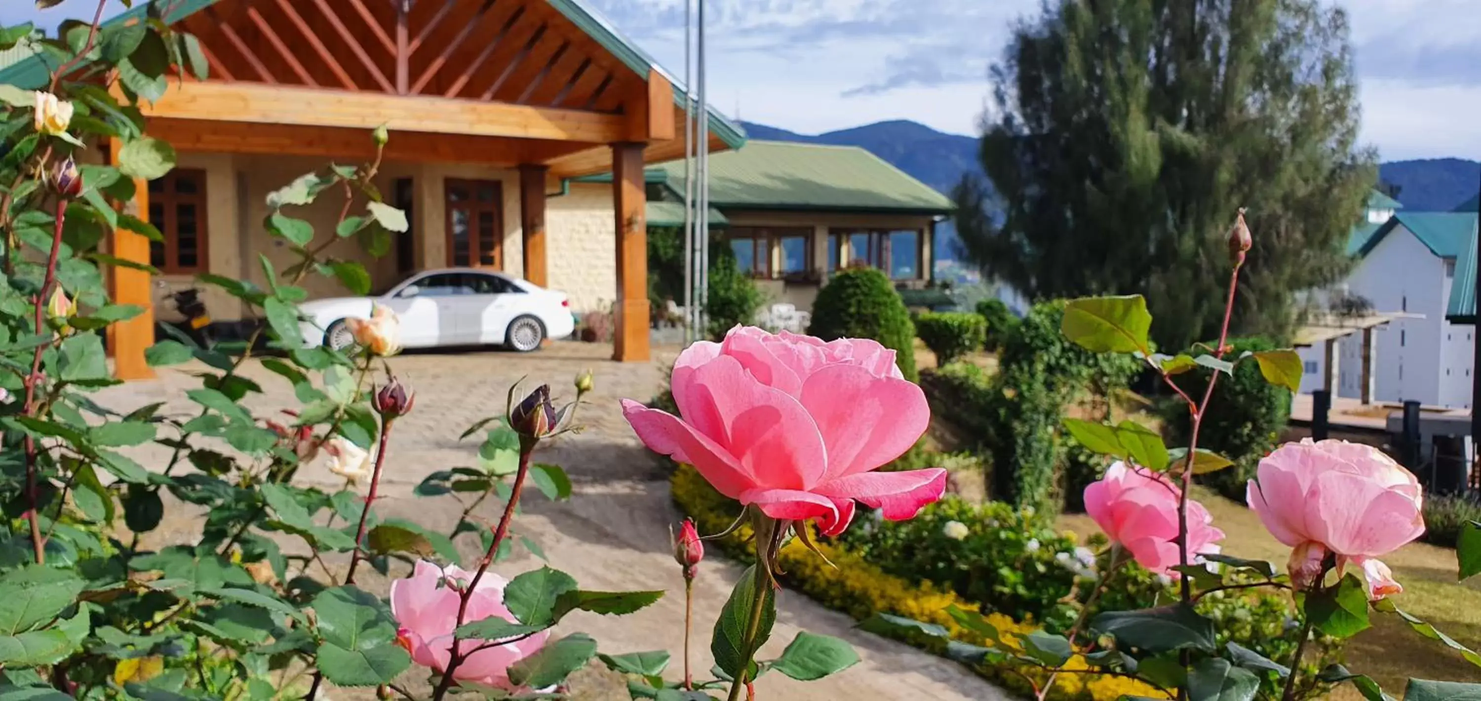 Facade/entrance, Property Building in Tea Bush Hotel