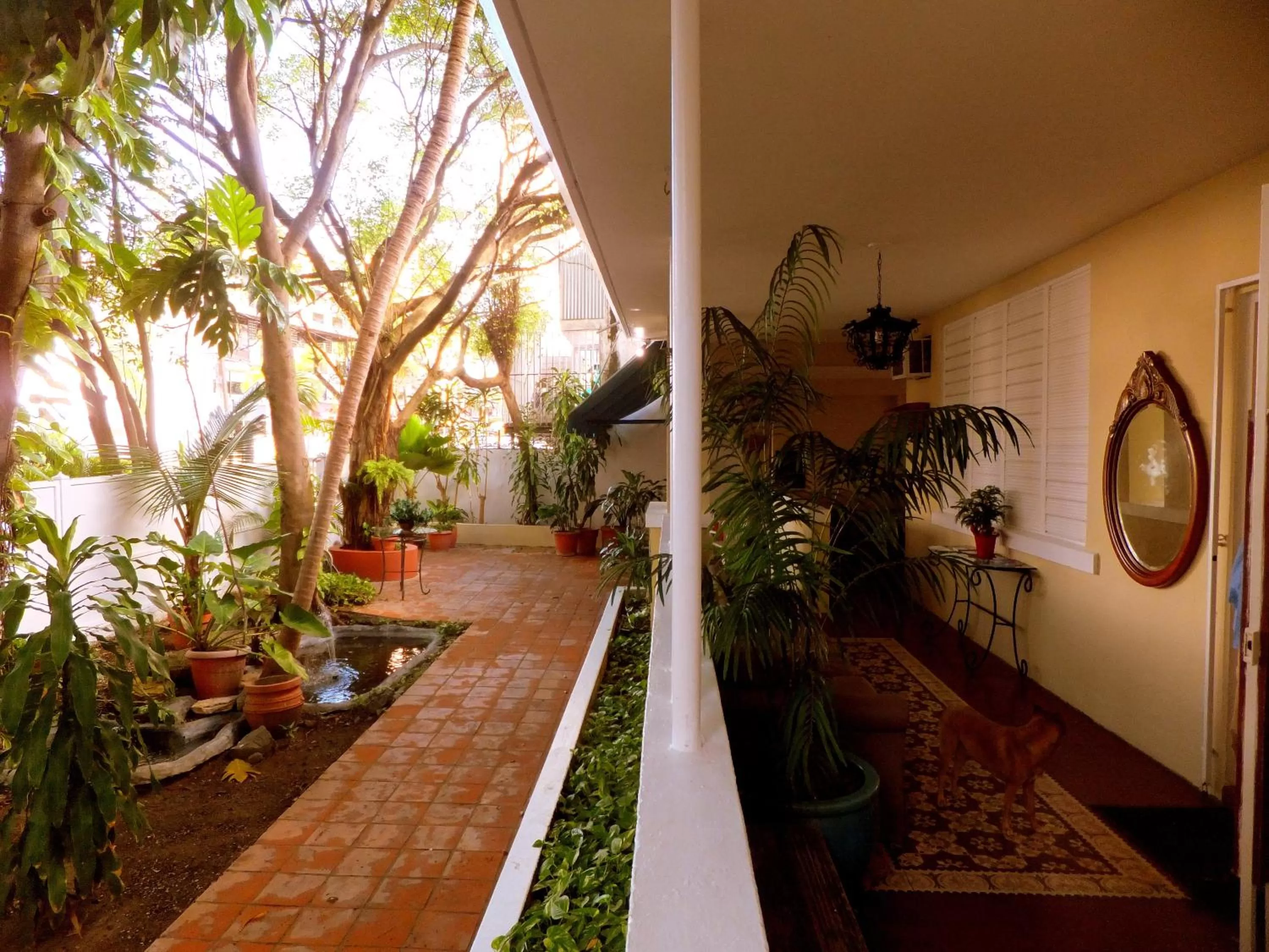 Facade/entrance in Casa del Caribe Inn