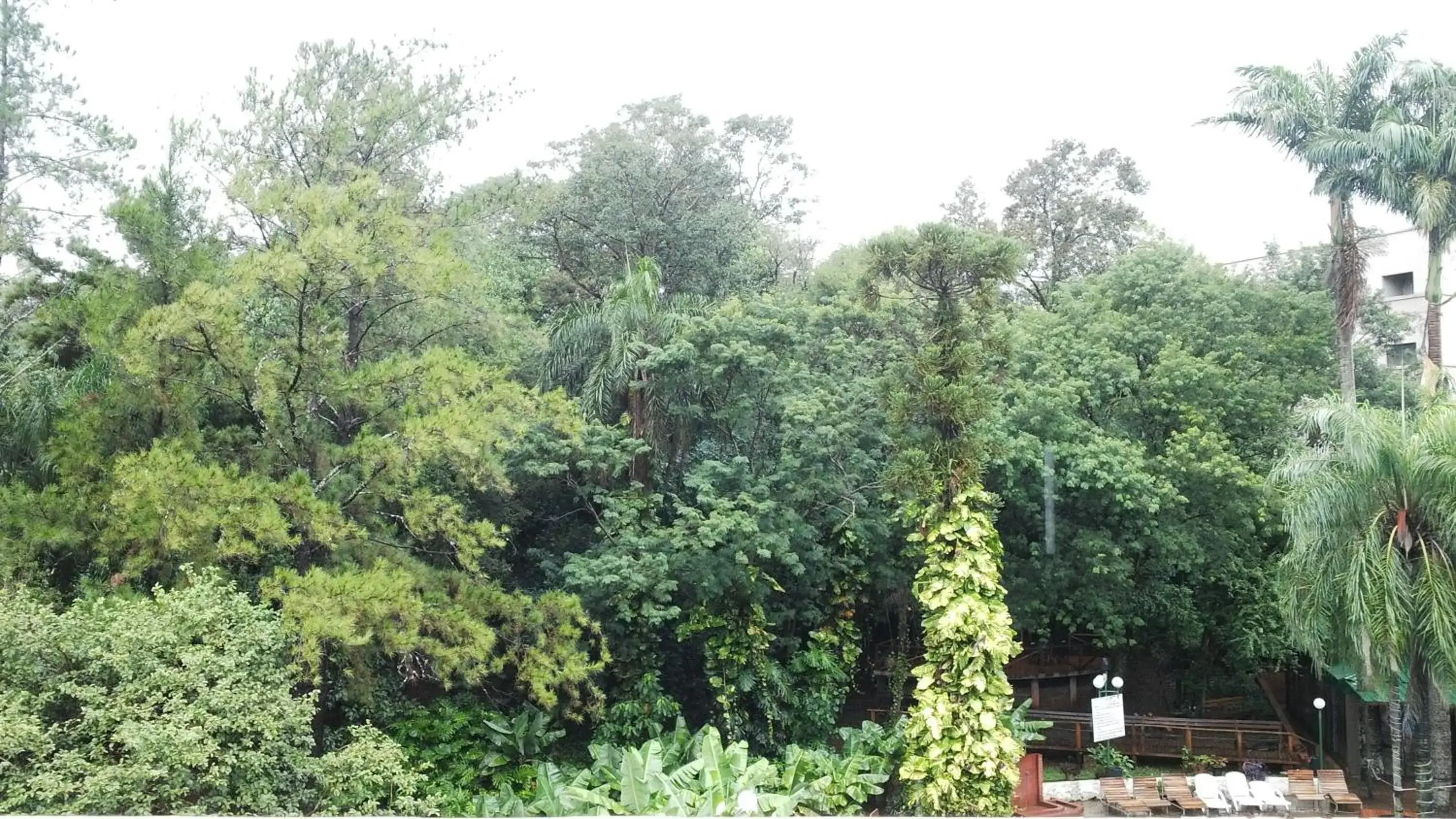 Natural landscape in Hotel El Libertador