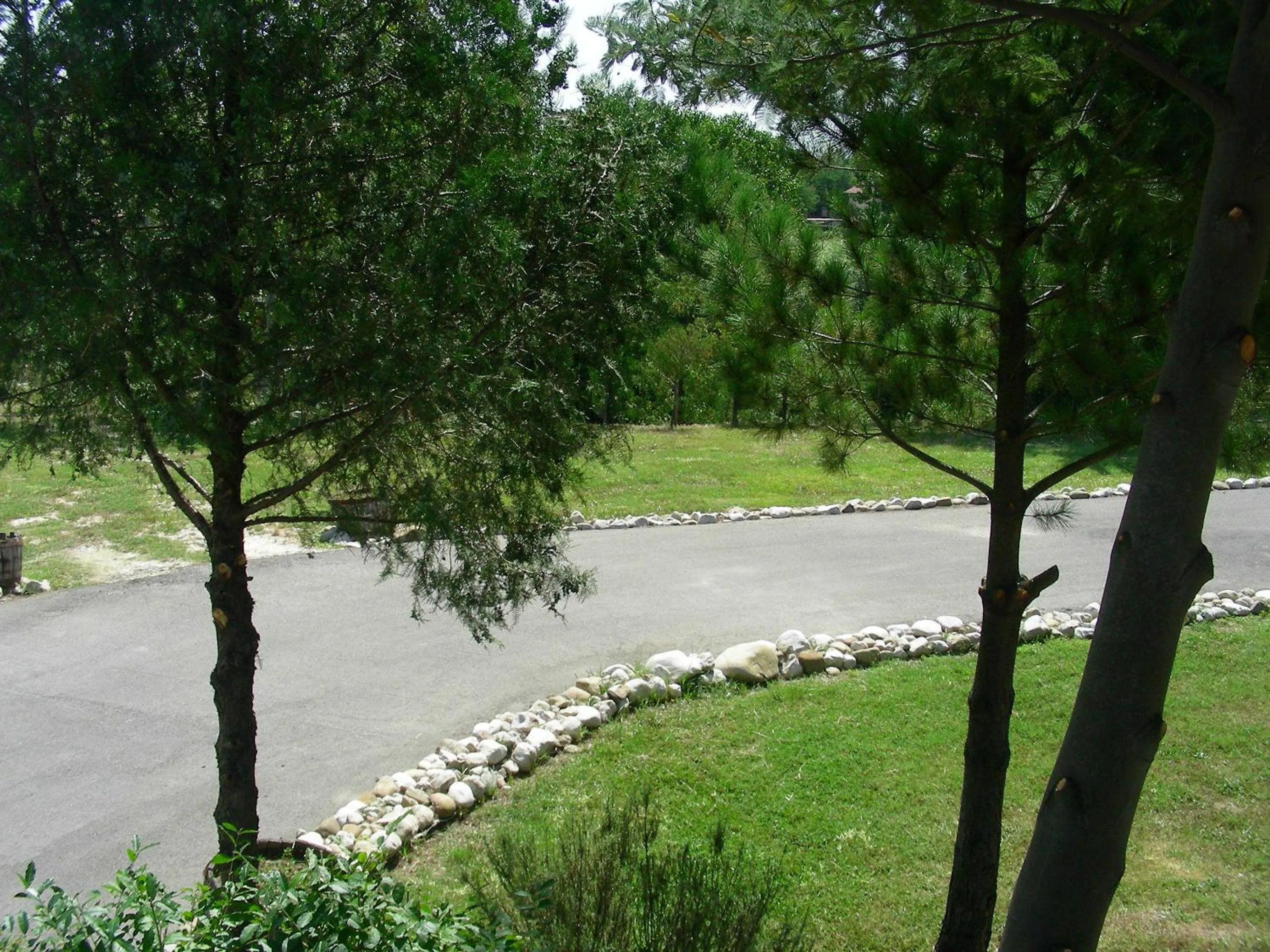 Sports in Hotel D.G. Garden