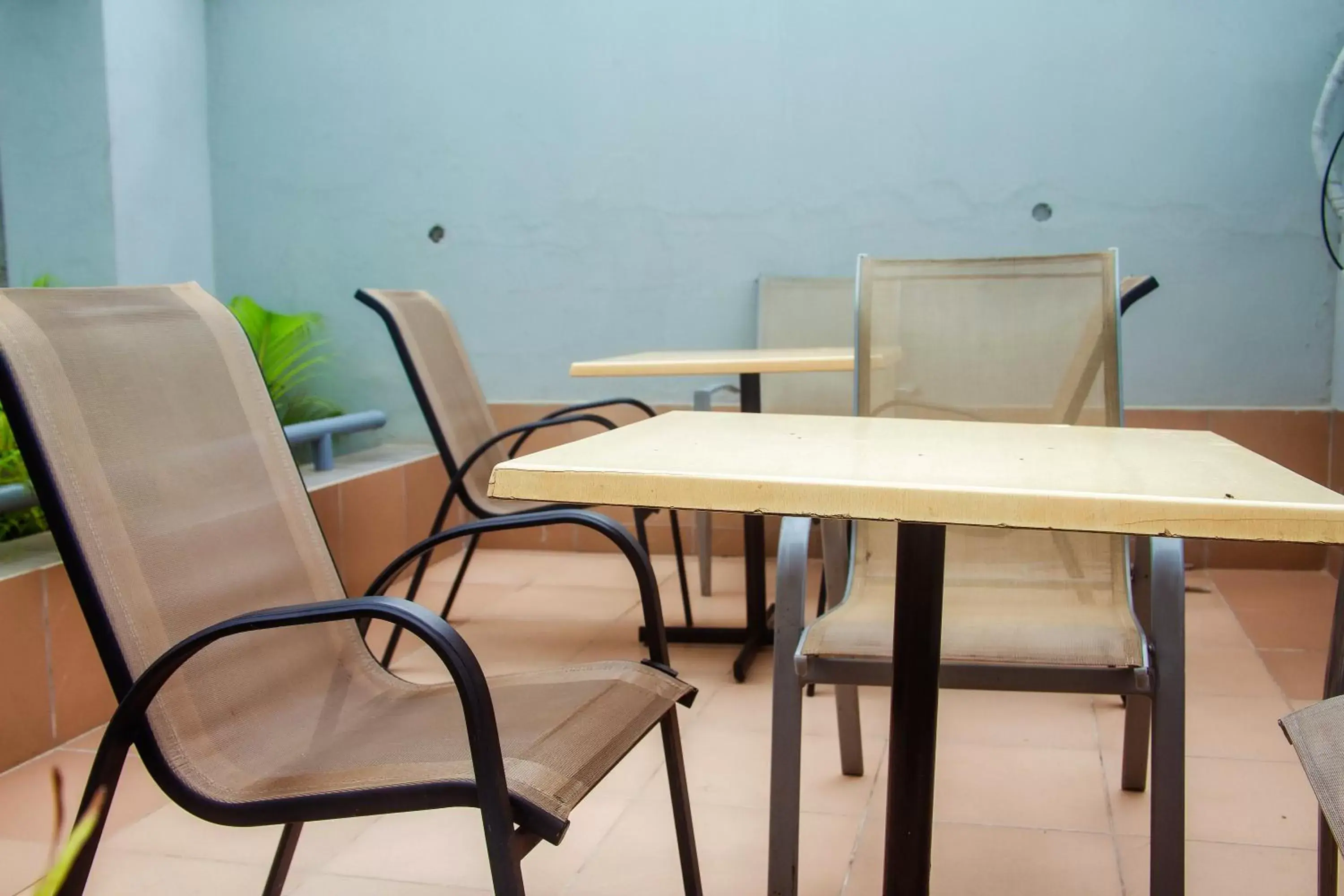 Lounge or bar in Hotel Capitol Lounge or bar in Hotel Capitol