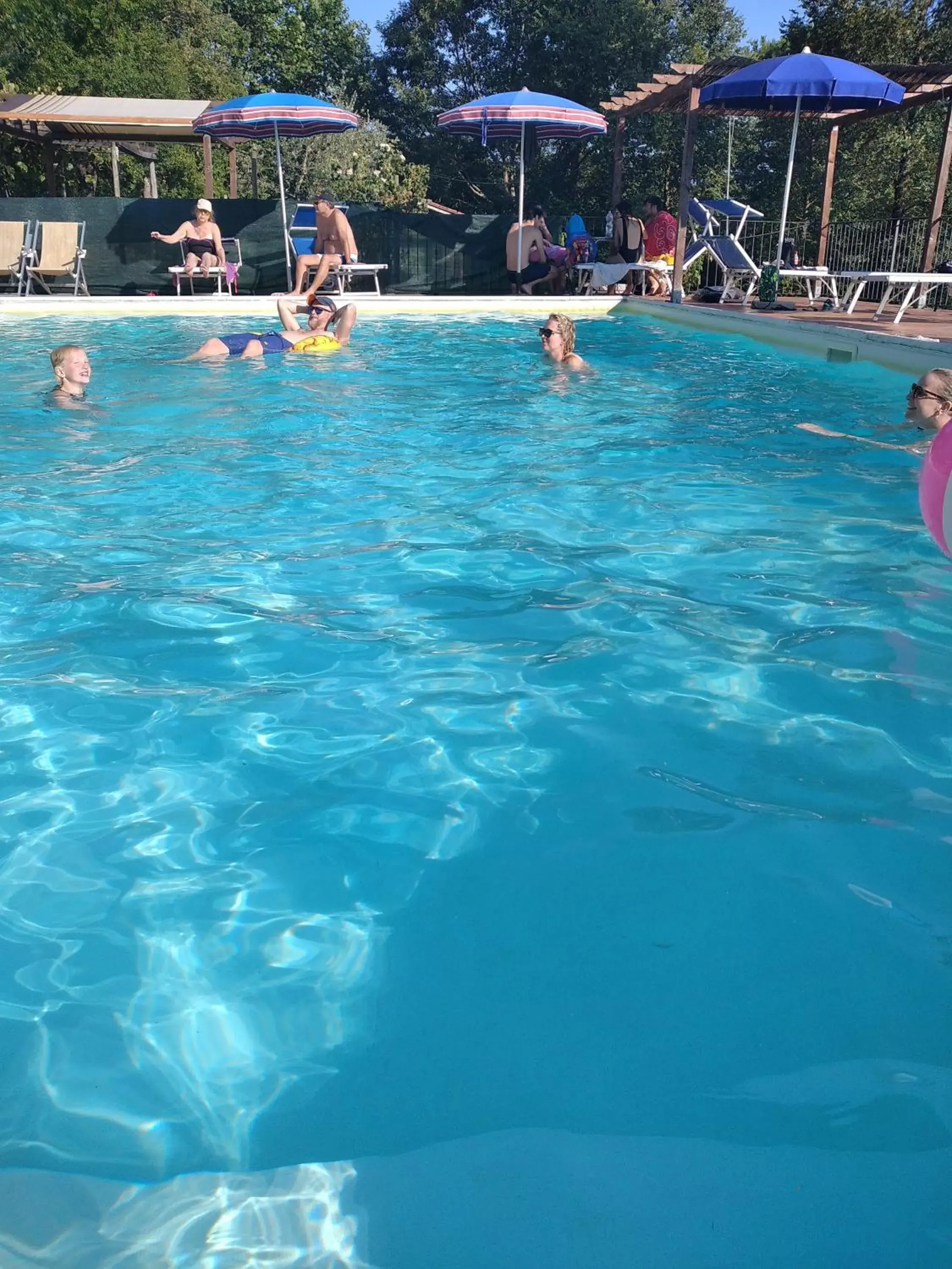 Swimming Pool in Villa Belvedere