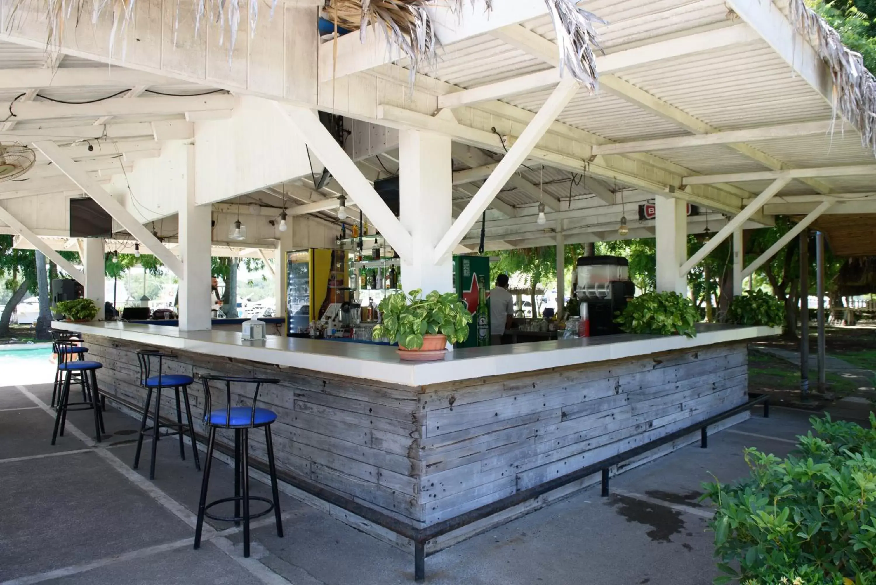 Lounge/Bar in Puerto Azul Resort & Club Nautico