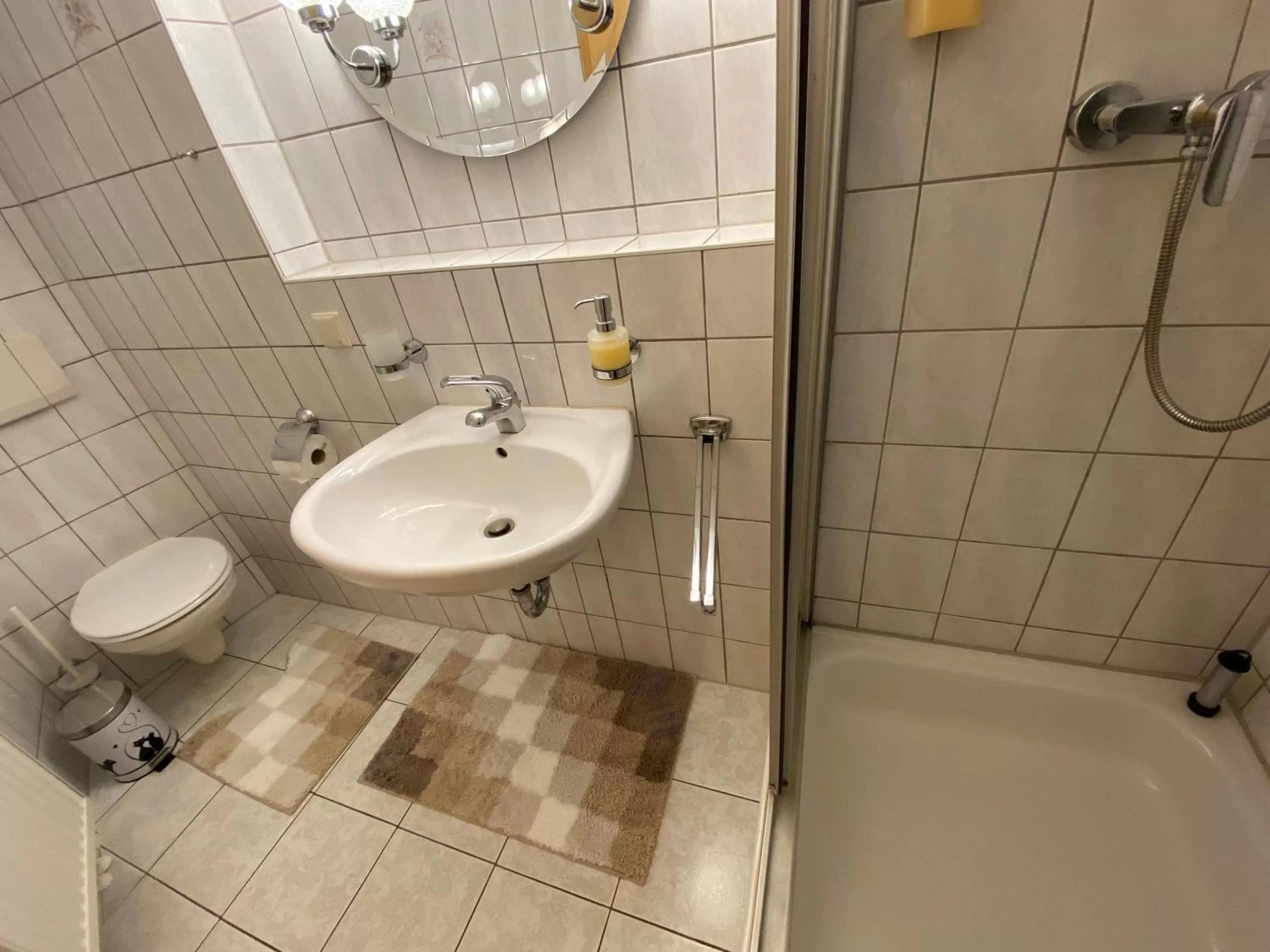 Shower in Hotel Bielatal