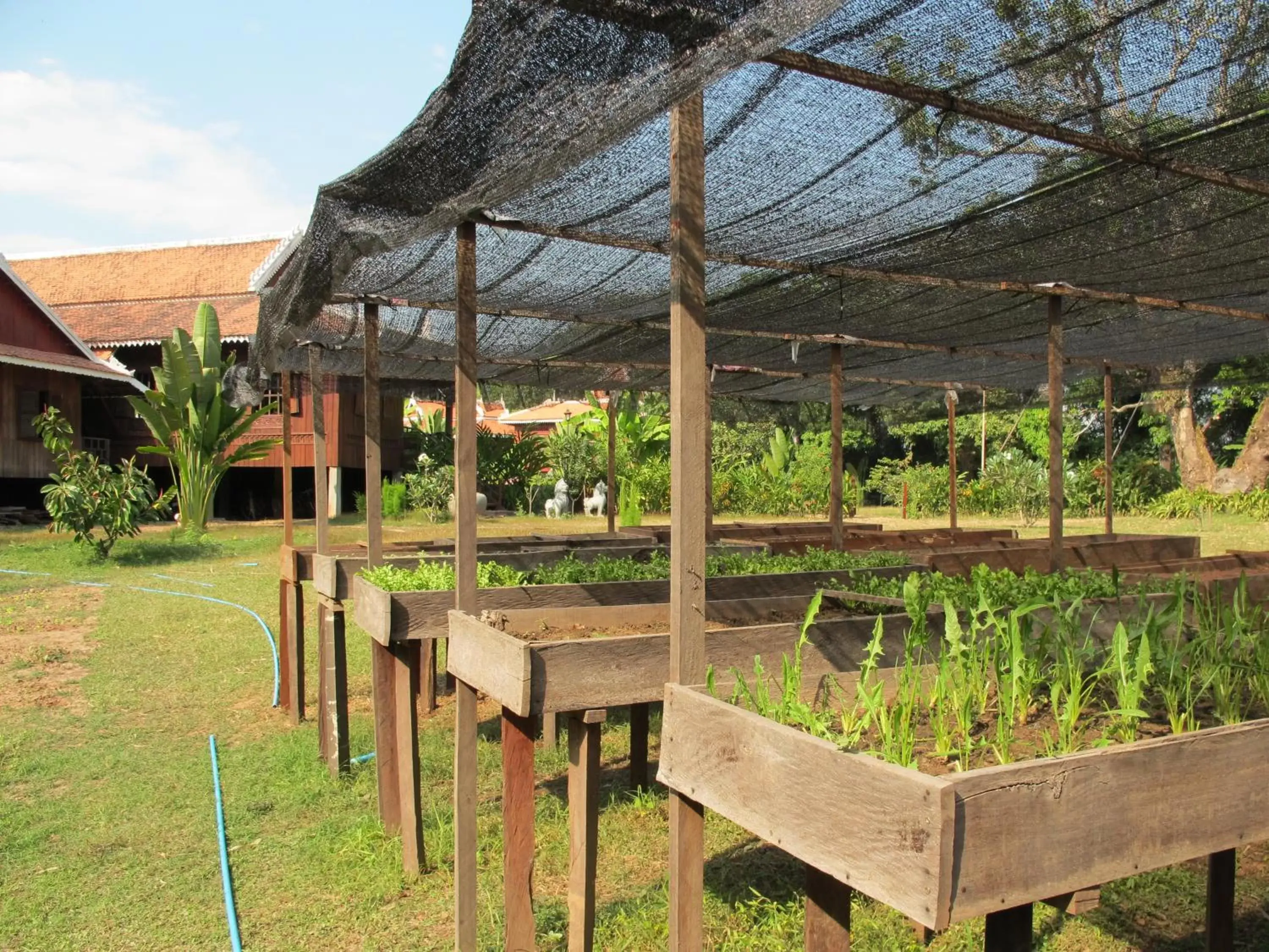 Garden in Soriyabori Villas Resort