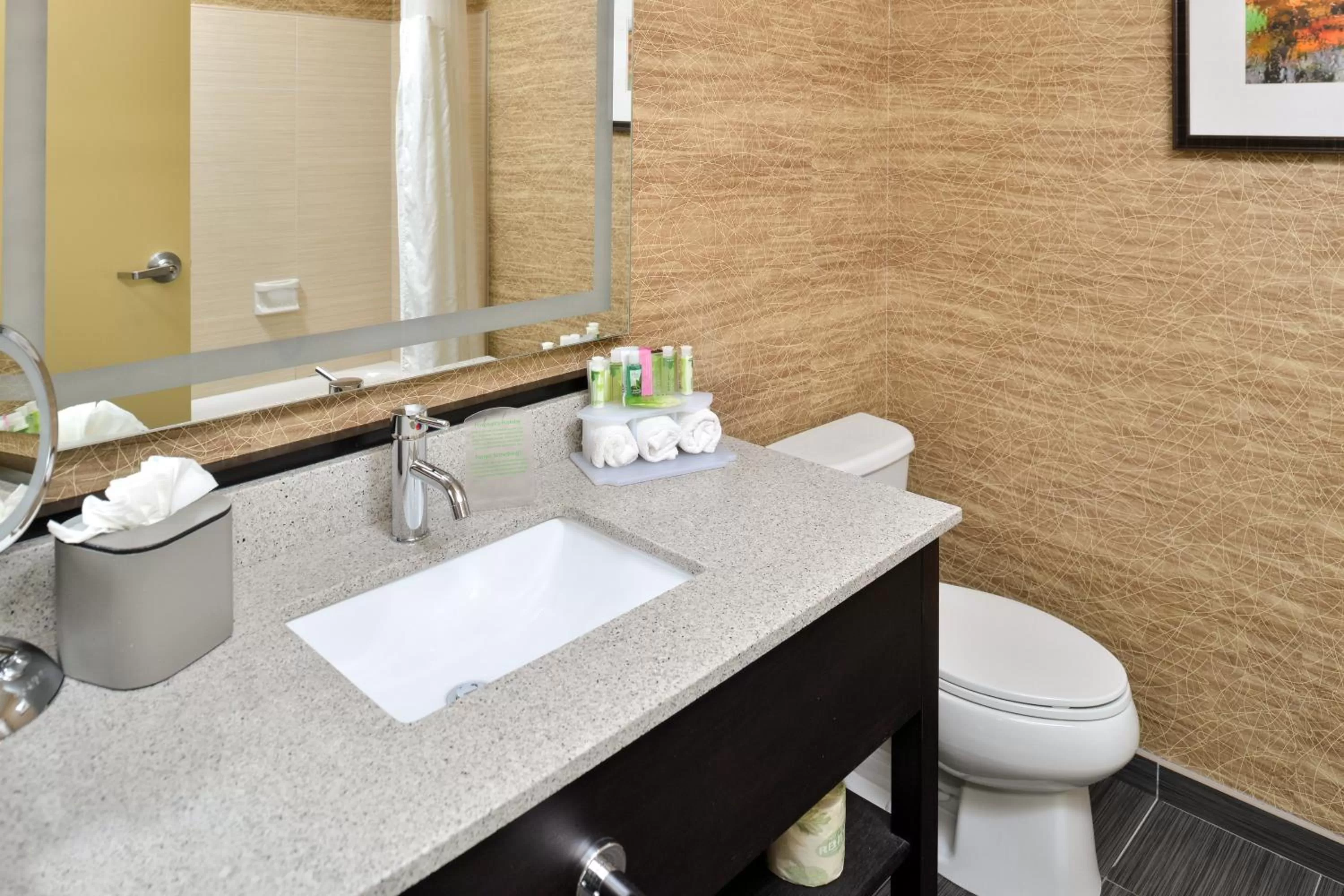 Bathroom in Holiday Inn Express & Suites Peekskill-Lower Hudson Valley by IHG