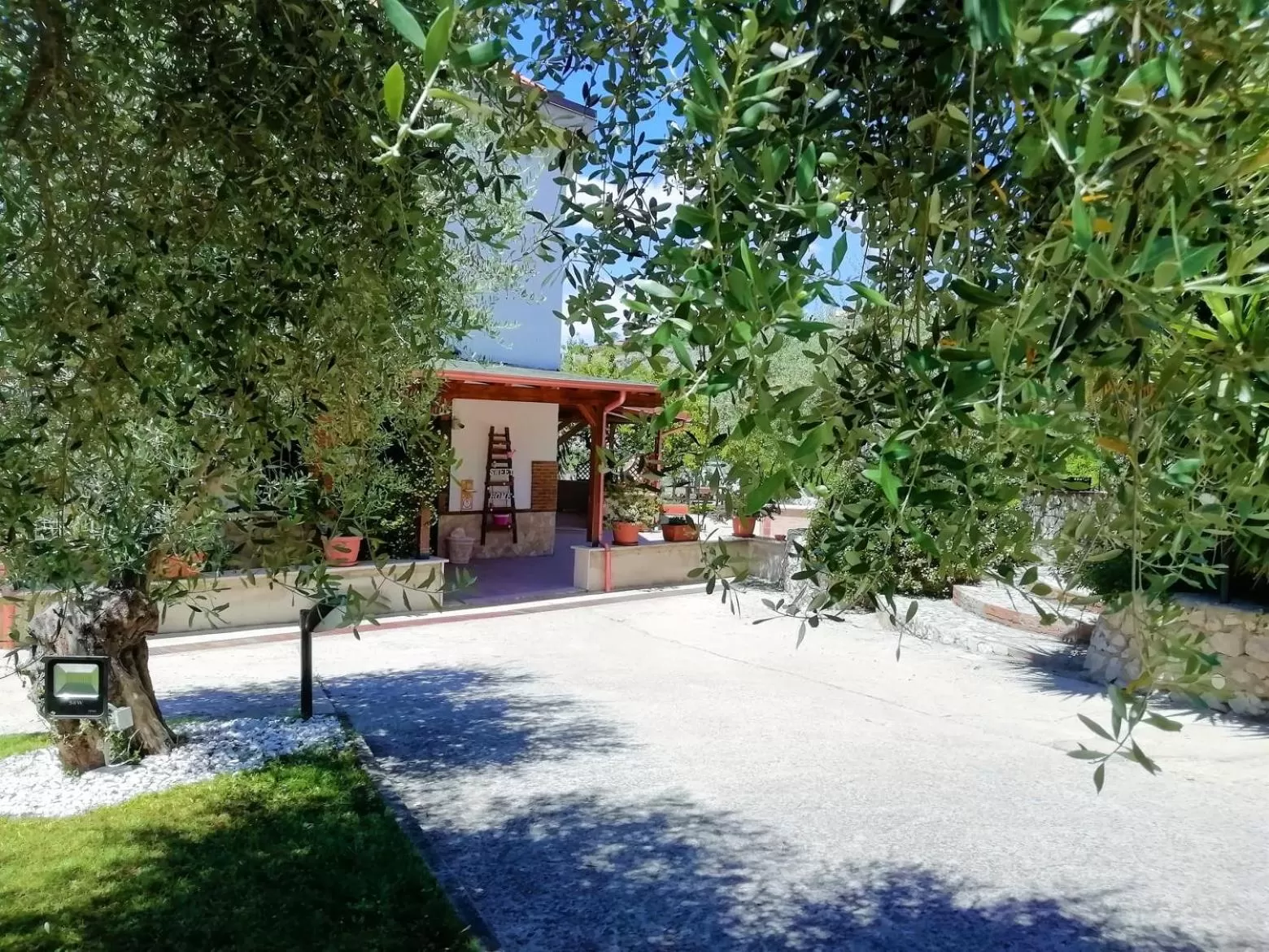 Quiet street view in B&B Maison Villa Vittorio