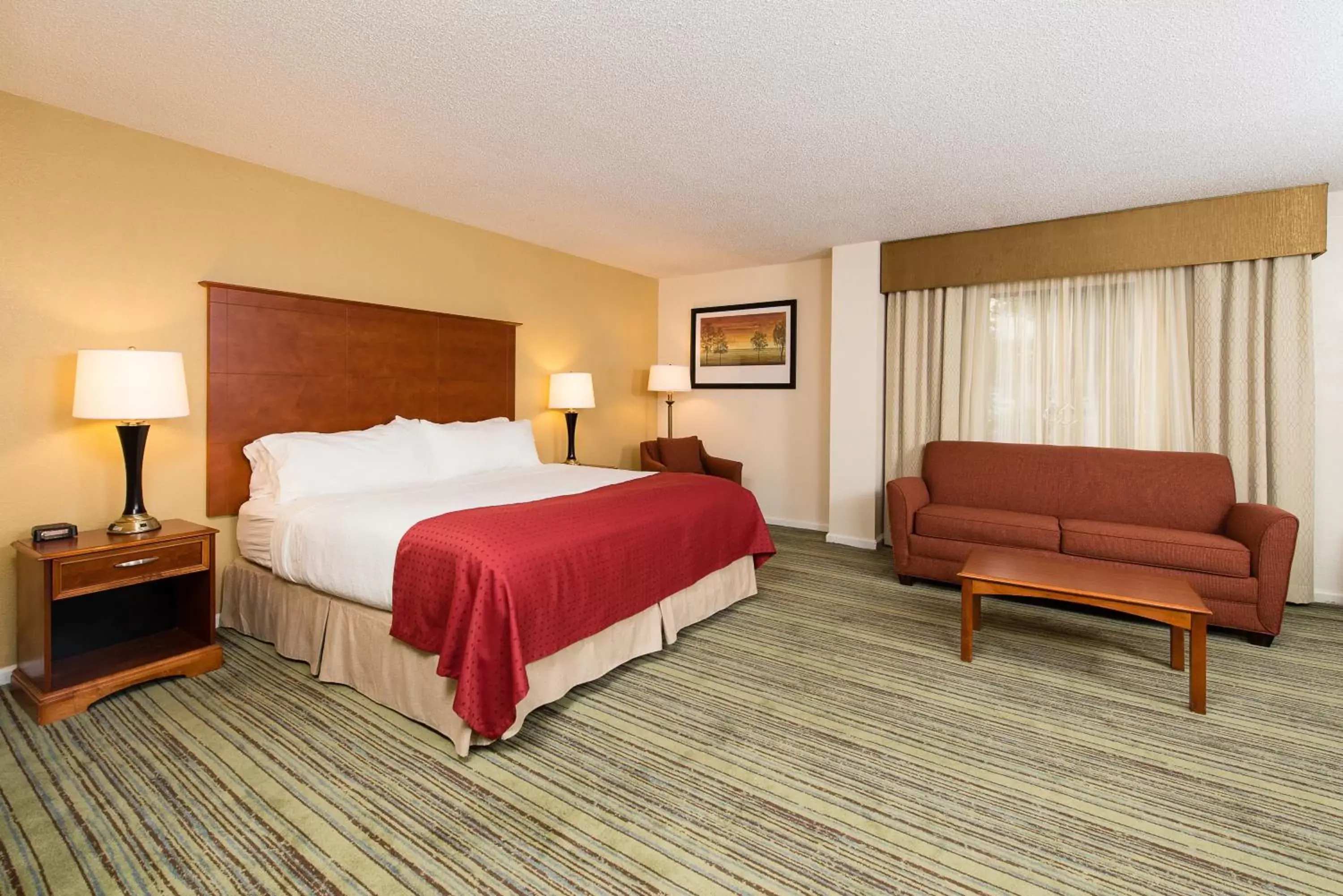 King Suite with Roll In Shower - Hearing Accessible/Non-Smoking in Holiday Inn Wilmington-Market Street, an IHG Hotel