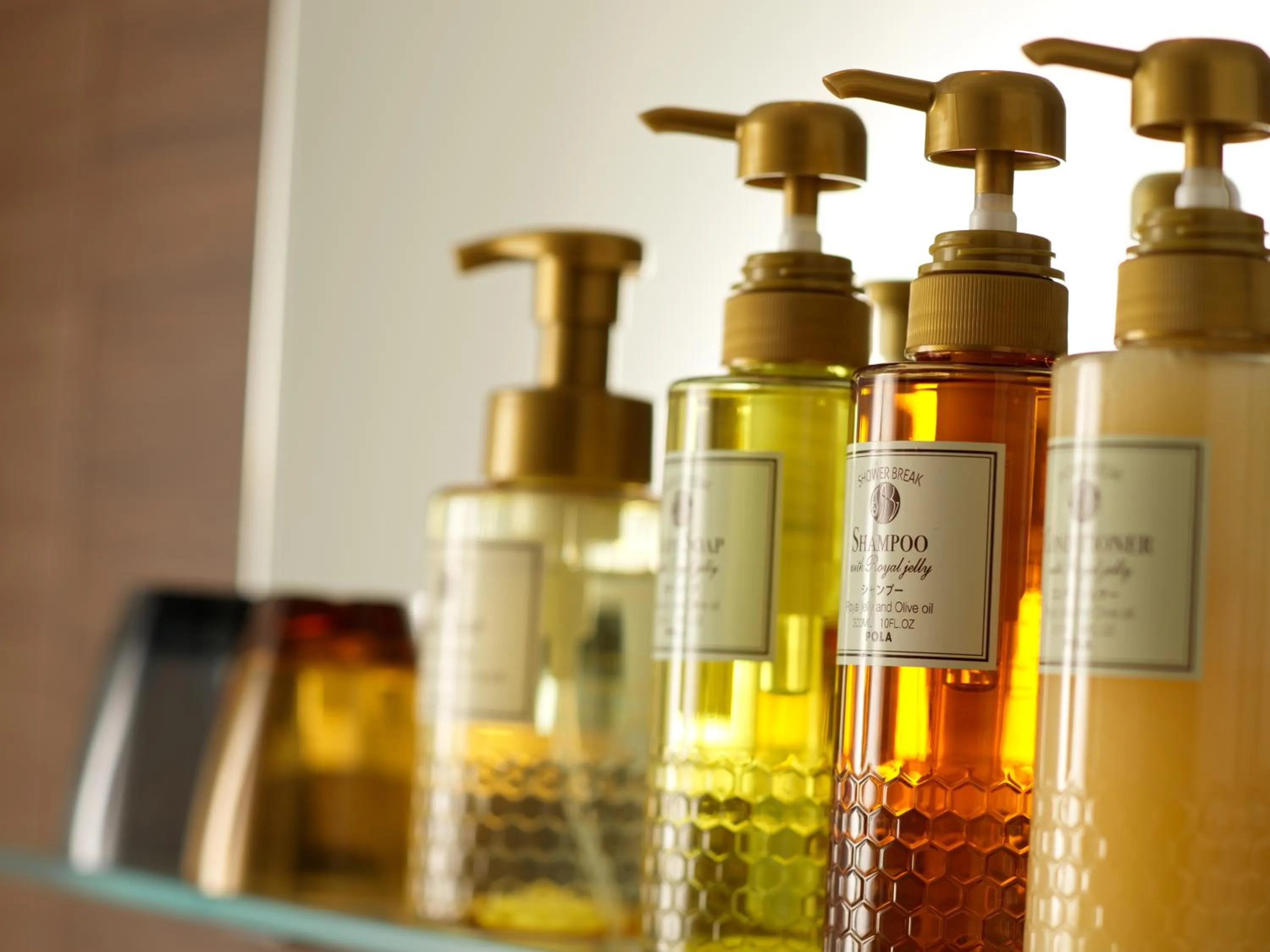 Bathroom in Hotel Emisia Tokyo Tachikawa