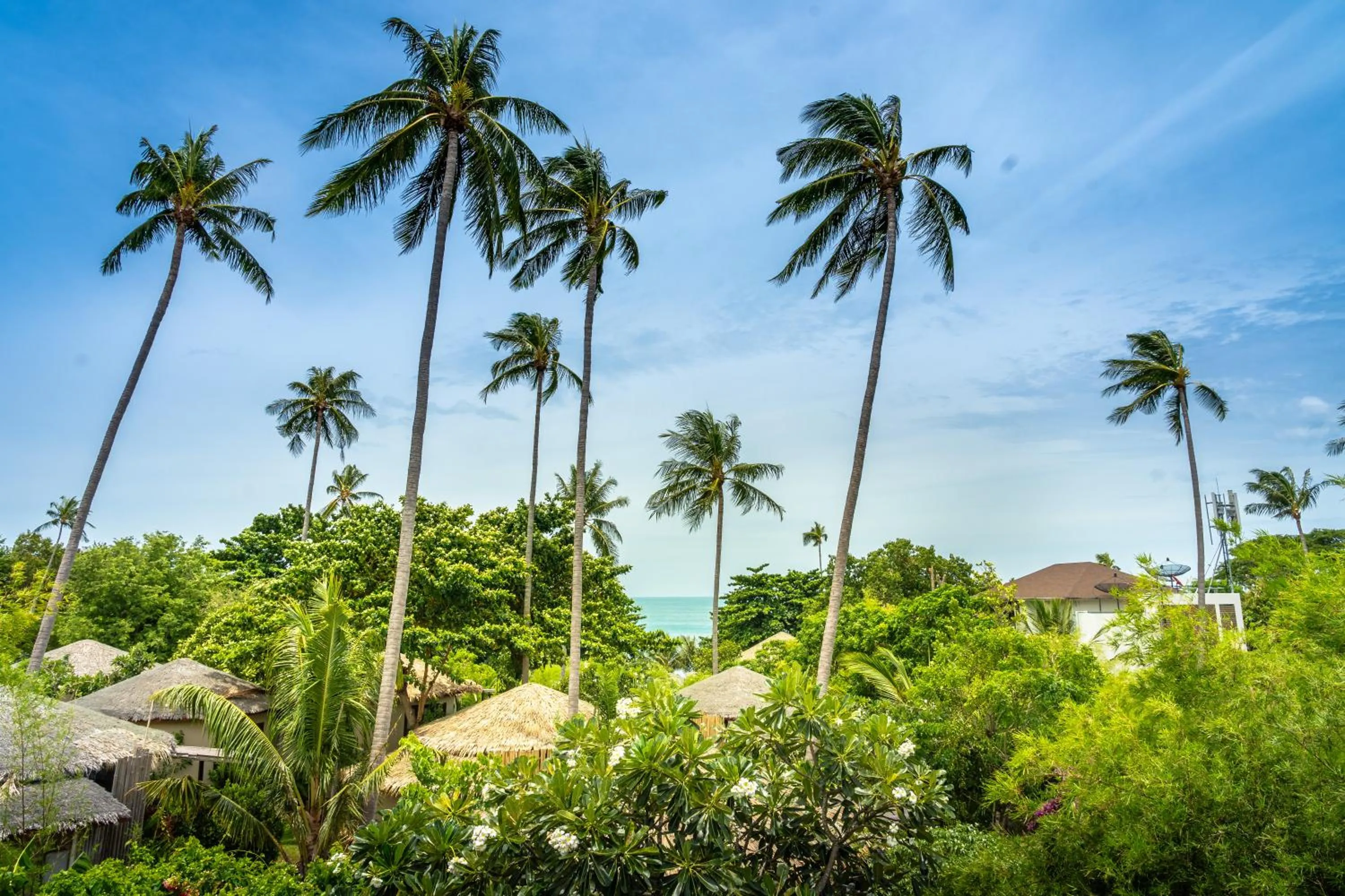 Two Bedroom Sky Terrace Pool Villa in Sea Dance Resort