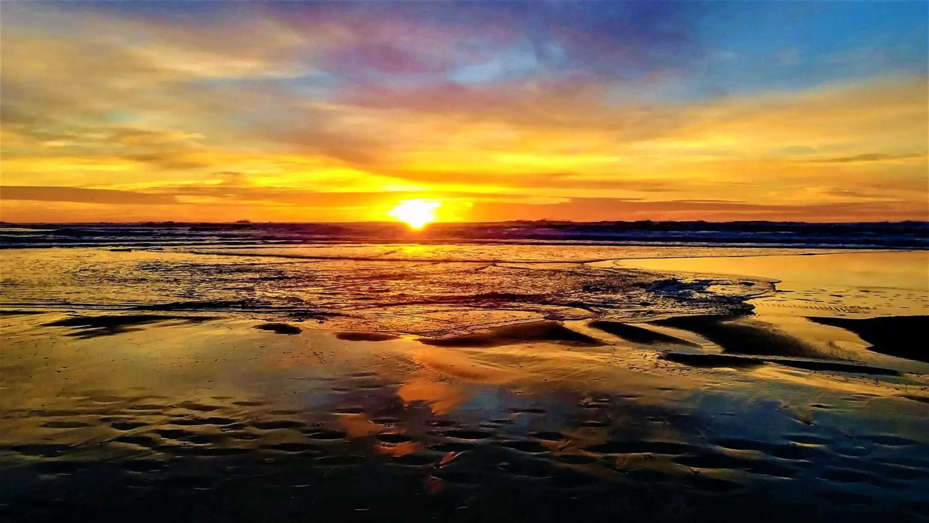 Natural landscape in Starfish Manor Oceanfront Hotel