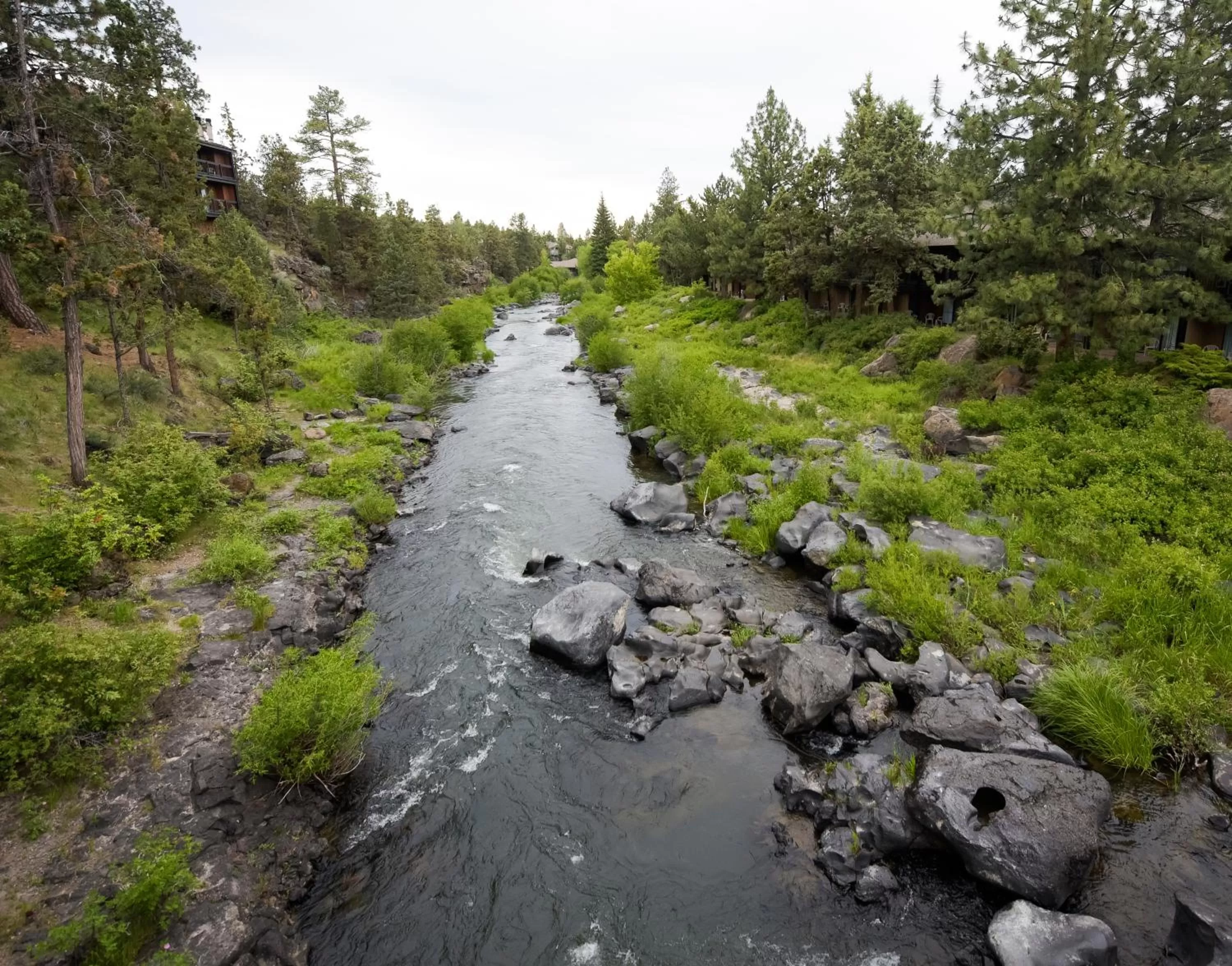 Bird's eye view in Riverhouse Lodge